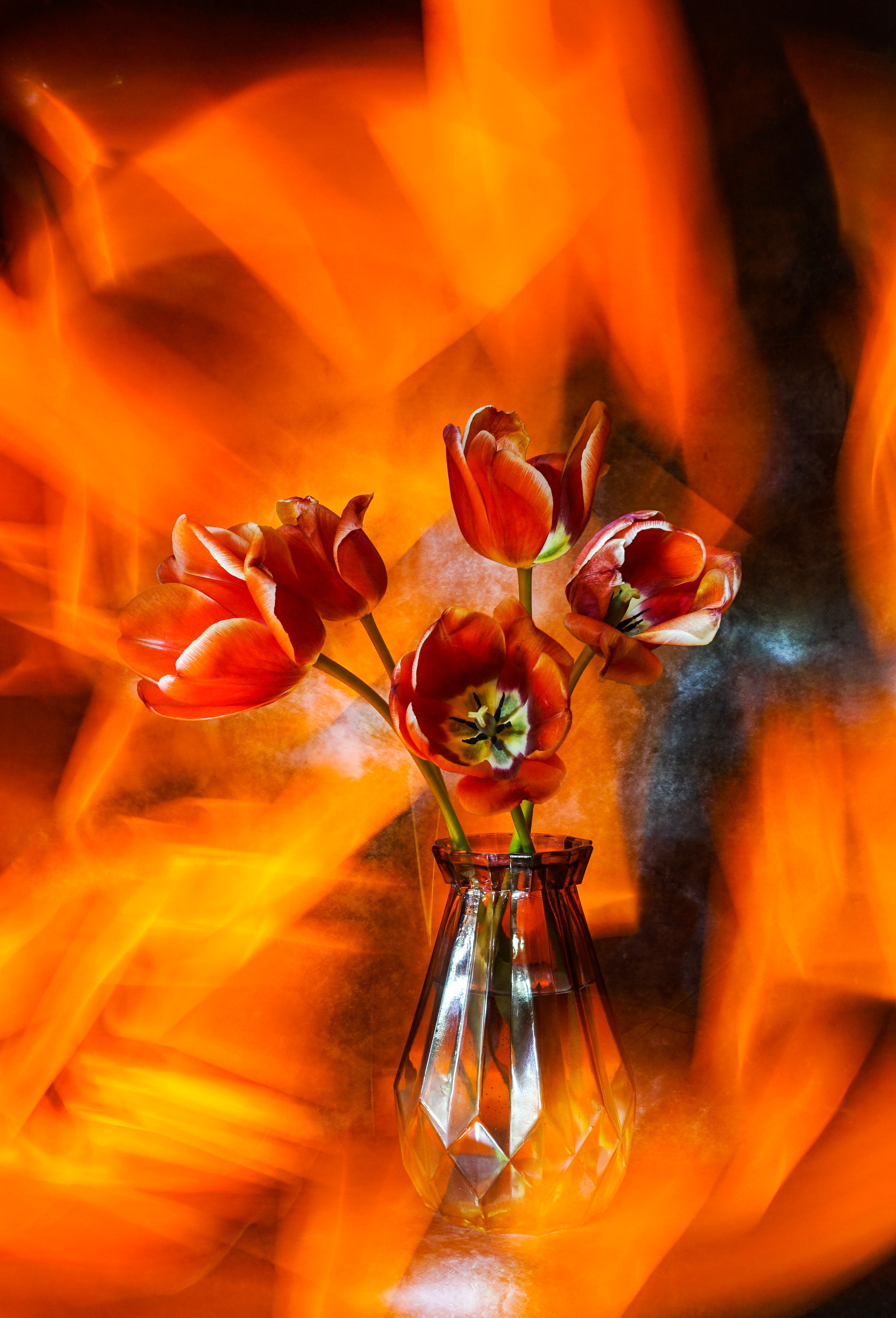 Светопись. Фотохудожник Татьяна Бойцова