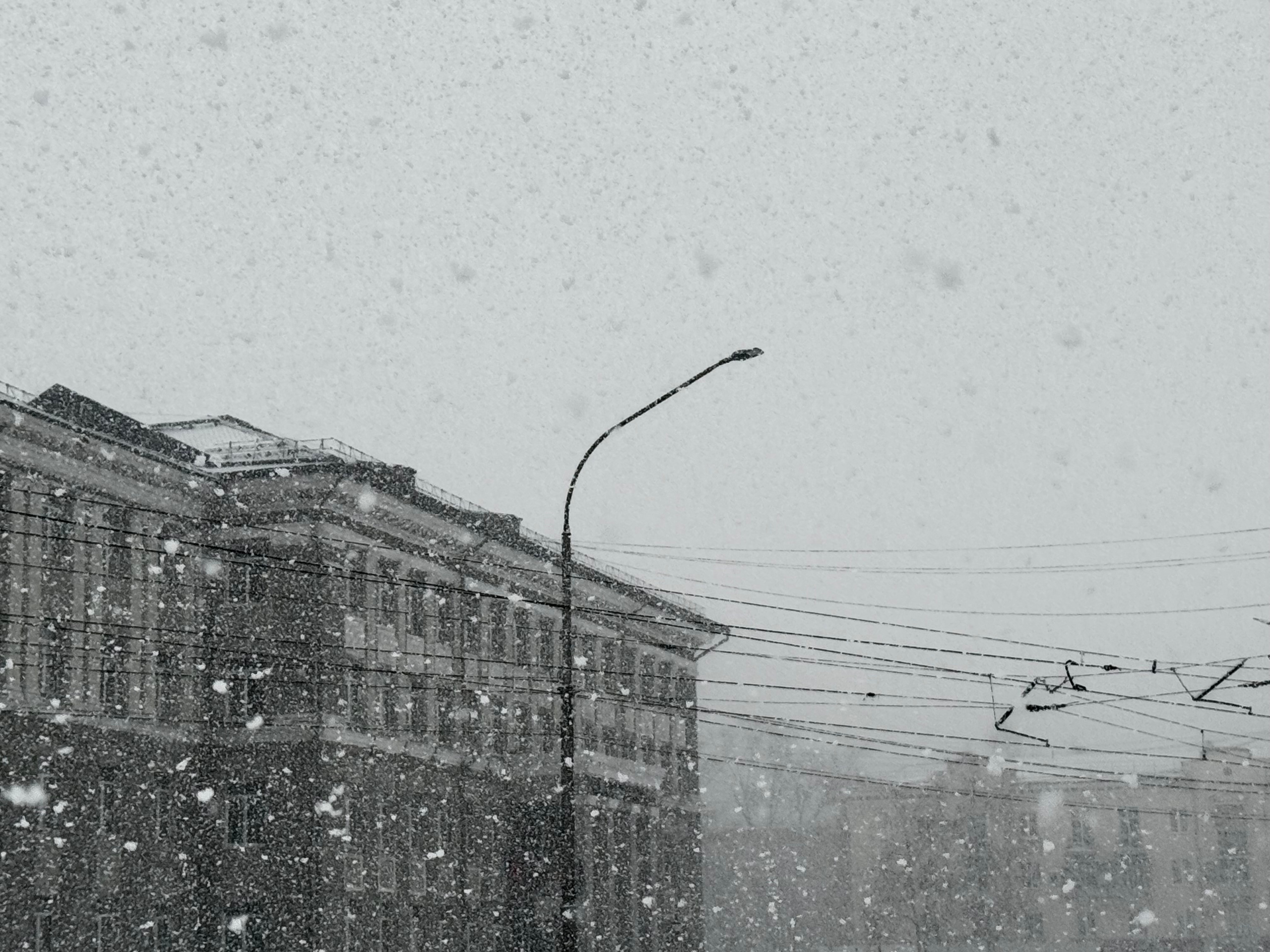 Новокузнецк. Фотограф в Новокузнецке