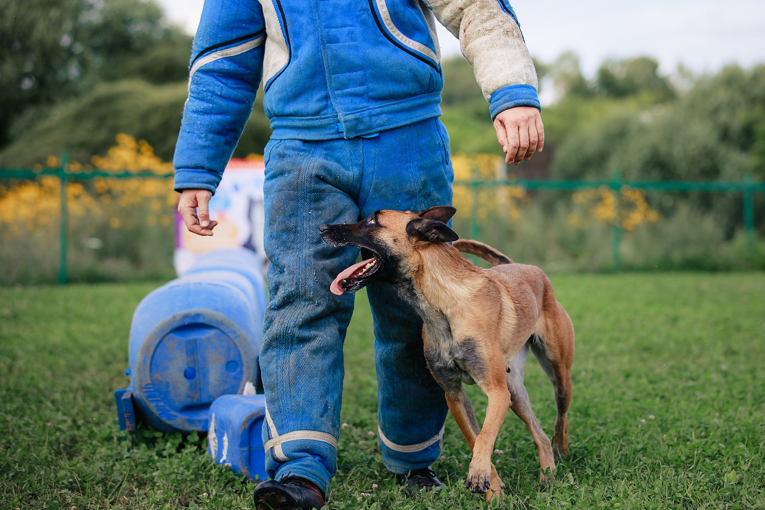 Мондьоринг М1, М2, М3, Вологда. Фотограф-анималист Mary Mart — Москва, Питер