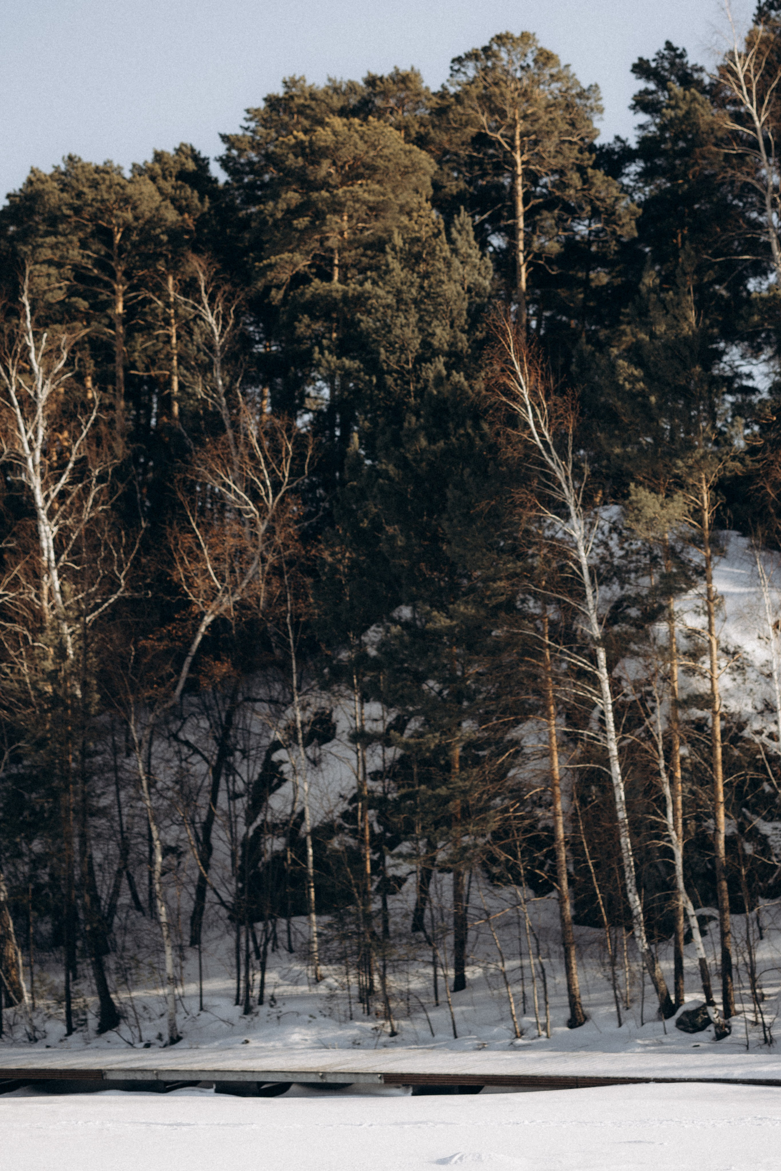 Сергей&Ангелина. Свадебный и семейный фотограф