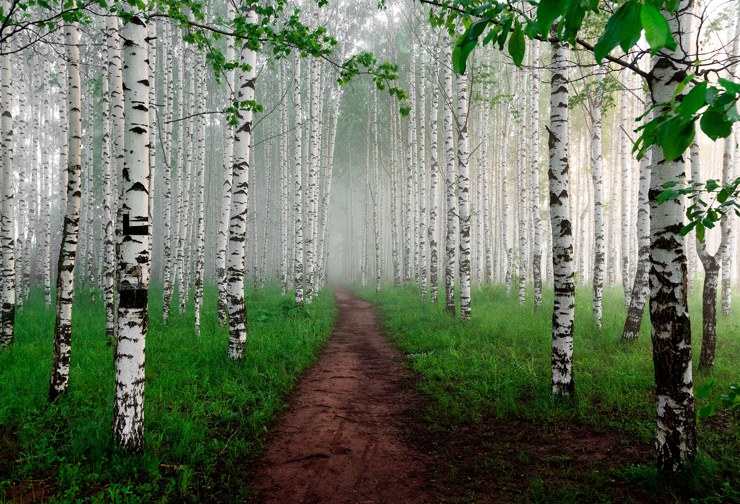 Вятка 18.06.26 — 21.06.26. Дмитрий Купрацевич профессиональный пейзажный и travel-фотограф