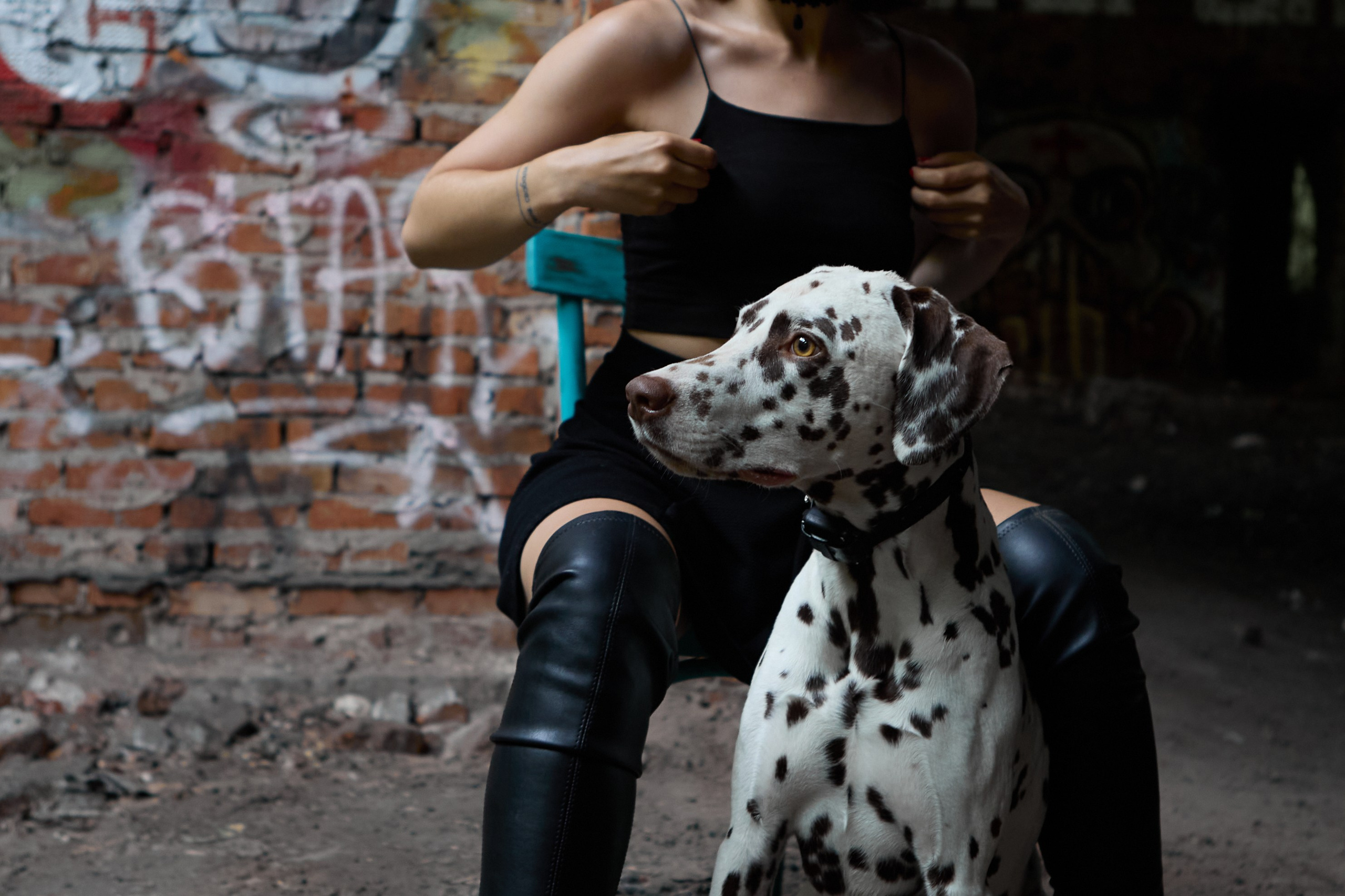 фотосессия на заброшенной конюшне с собакой далматинцем