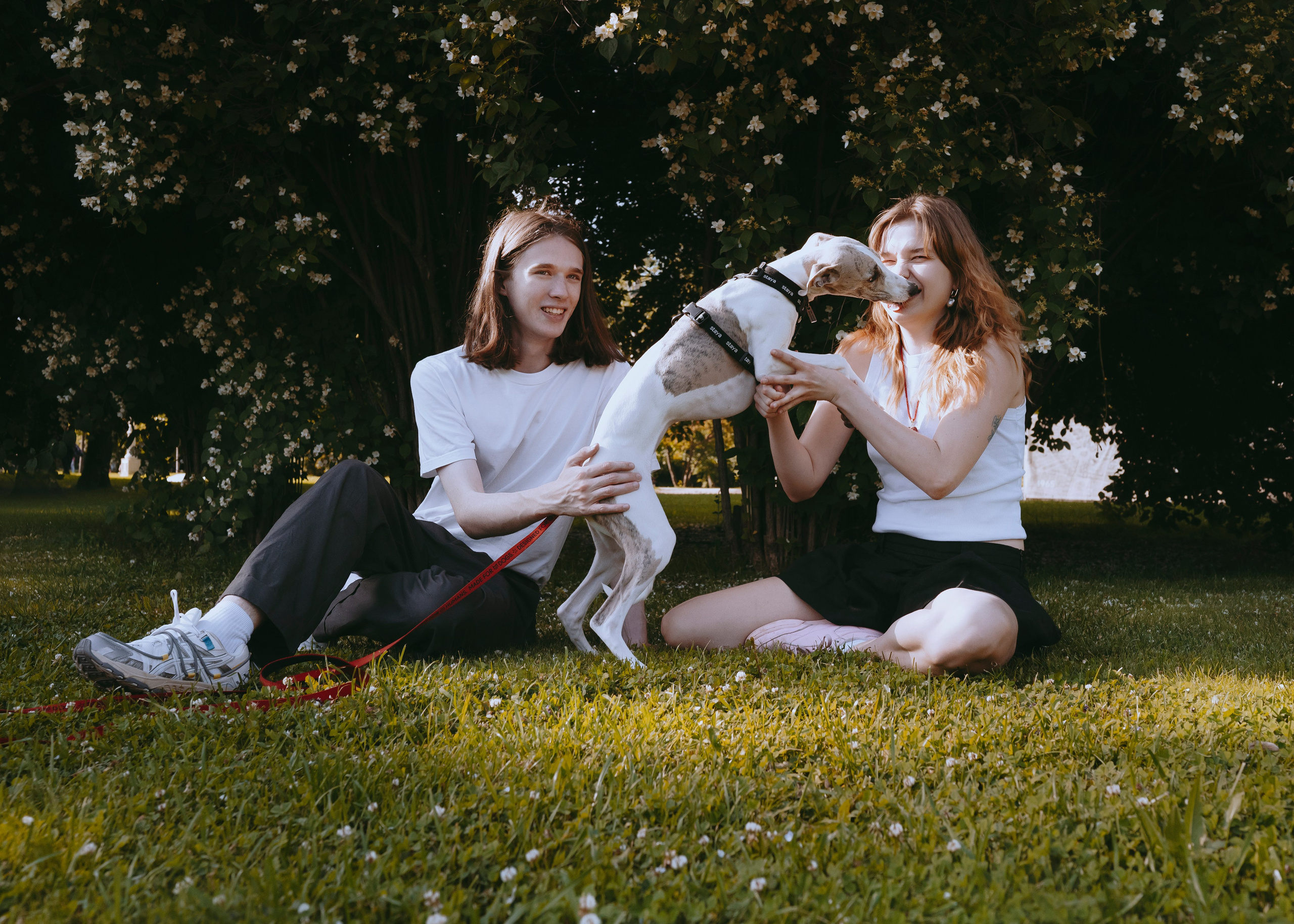 Ветка. Фотограф- анималист Александра Матвеева