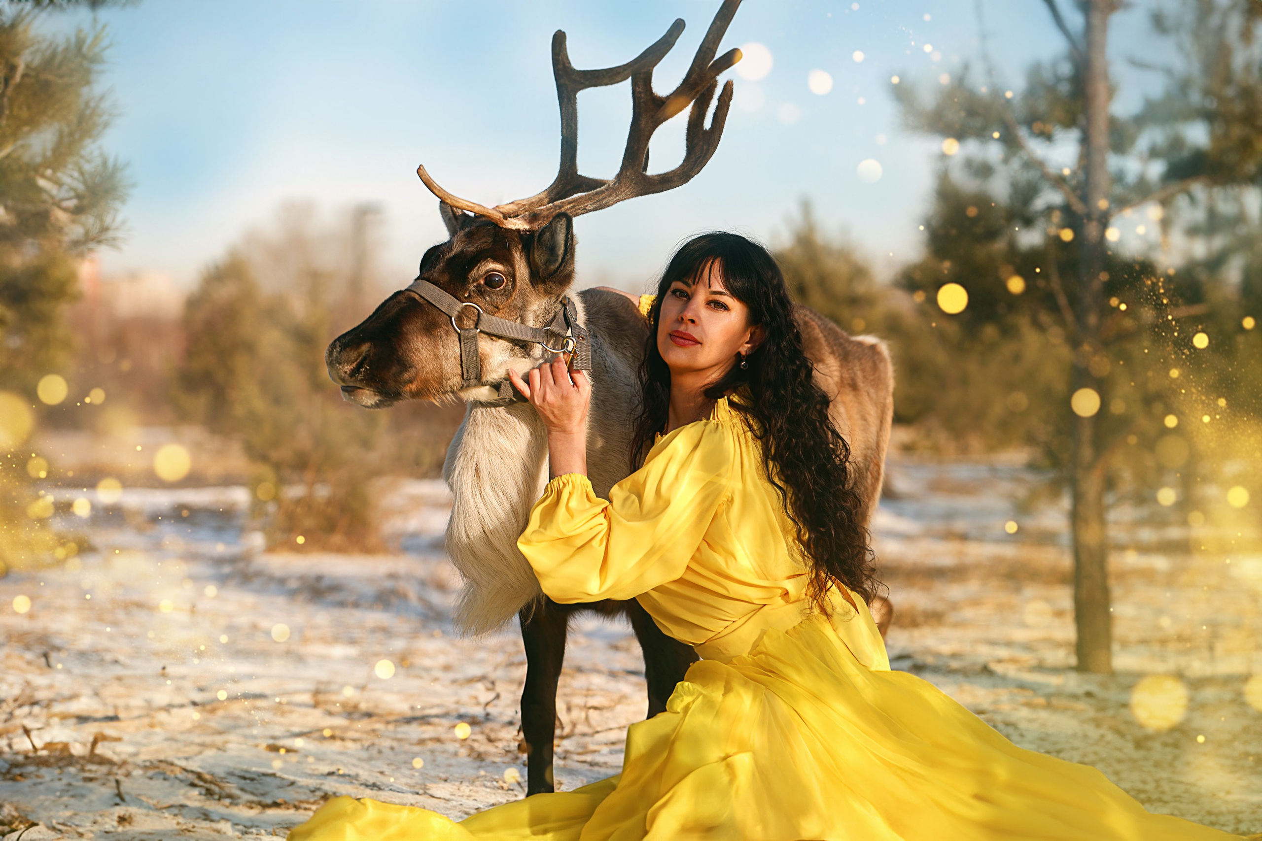 Олениха Нося 2024. Конный фотограф в Красноярске — Любовь Похабова