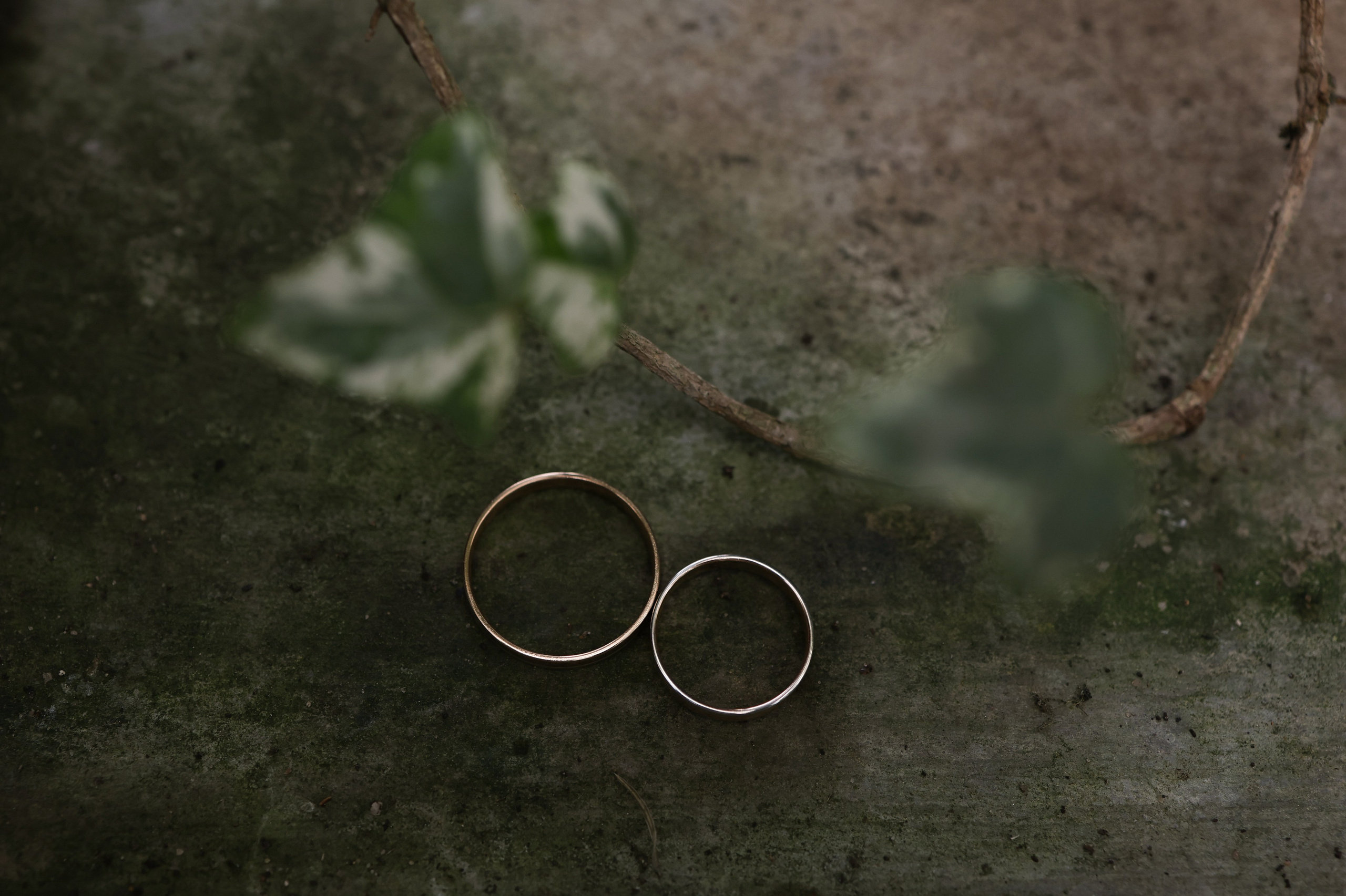 Алексей и Ксения. Фотограф и видеограф в Москве Полина Абраменкова