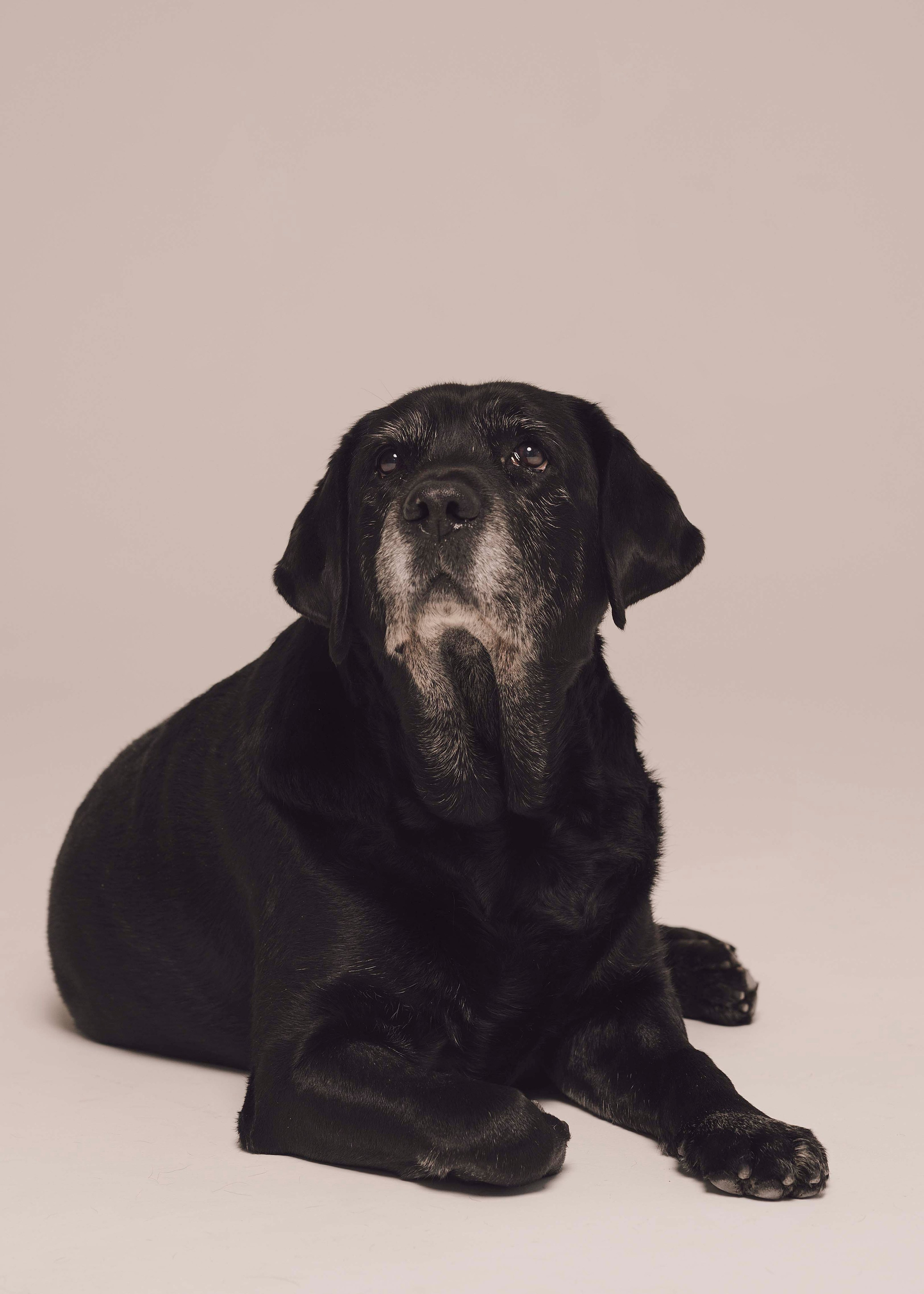 Бэста. Фотограф- анималист Александра Матвеева