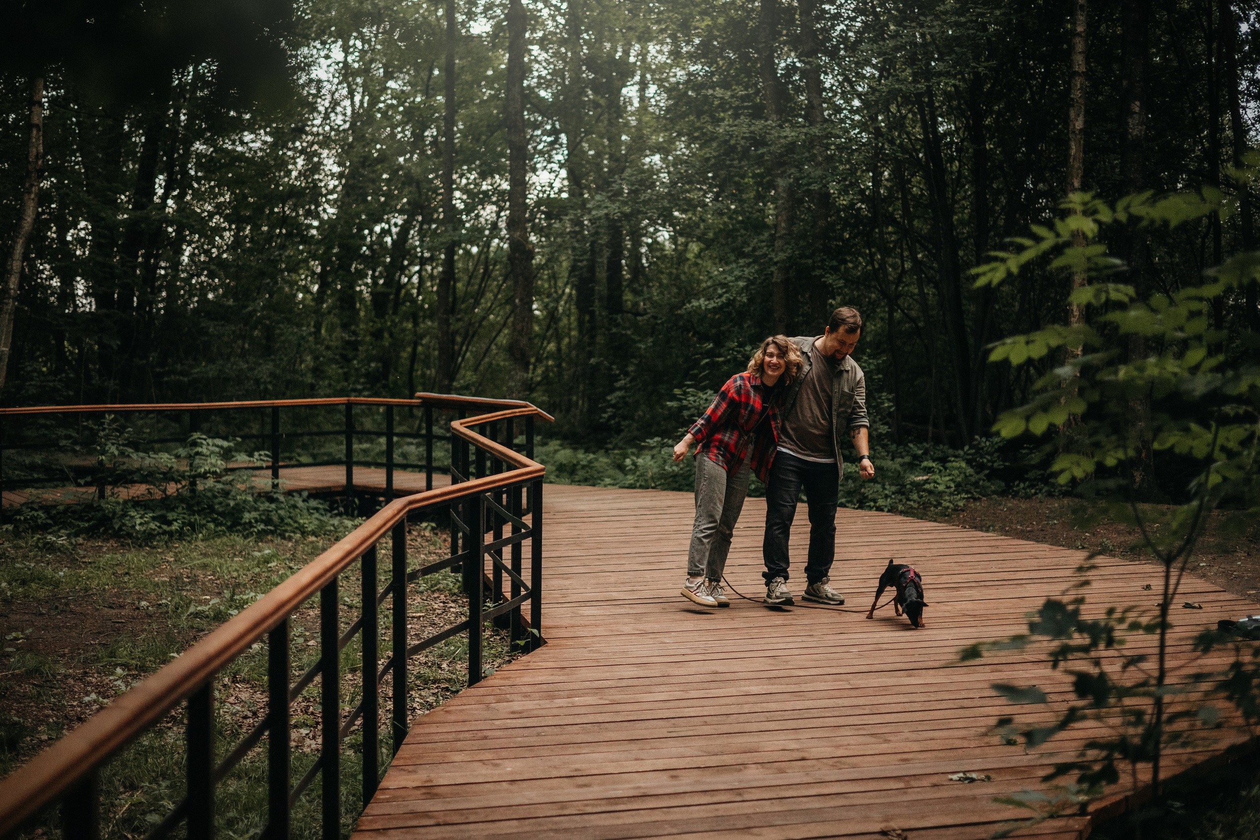 Сириус и его семья. Фотограф — Анималист | Санкт-Петербург