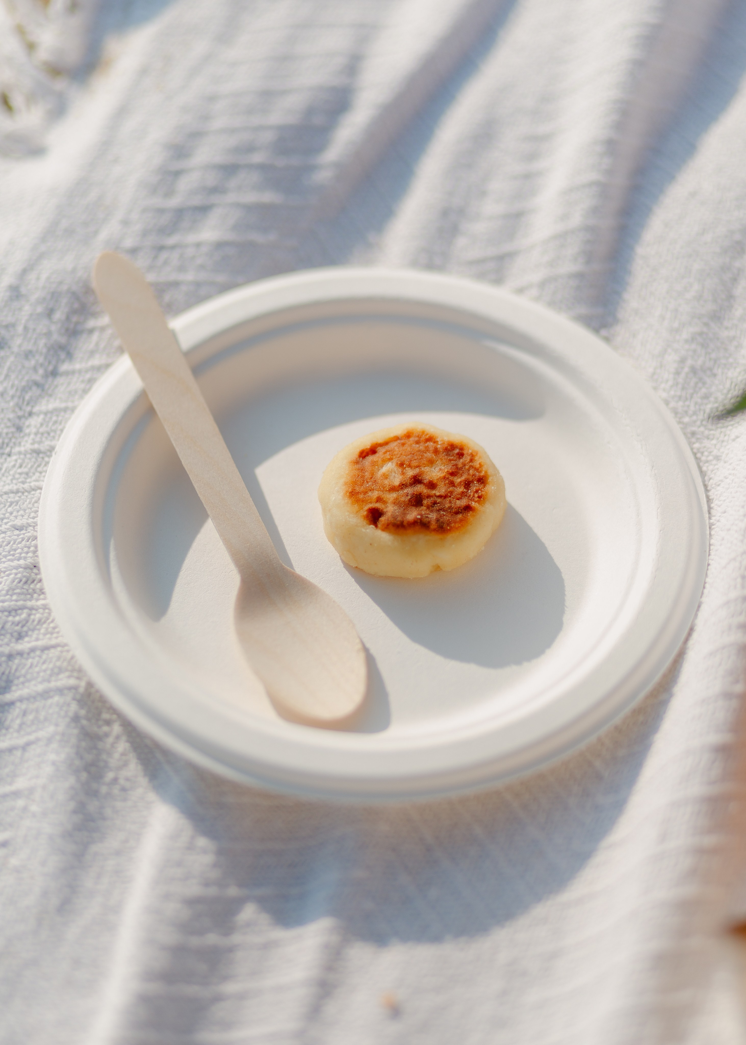 Seaside Bliss Picnic. Barbara Isaeva