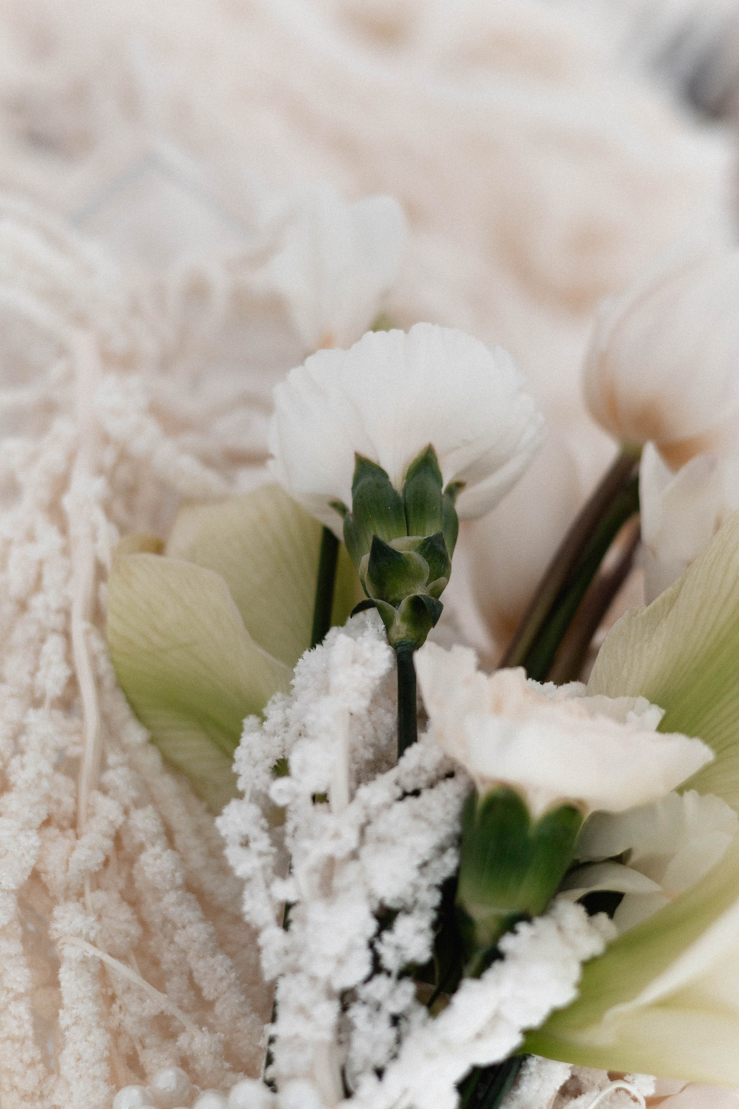 Анна & Алексей. Свадебный и портретный фотограф Соломко Диана