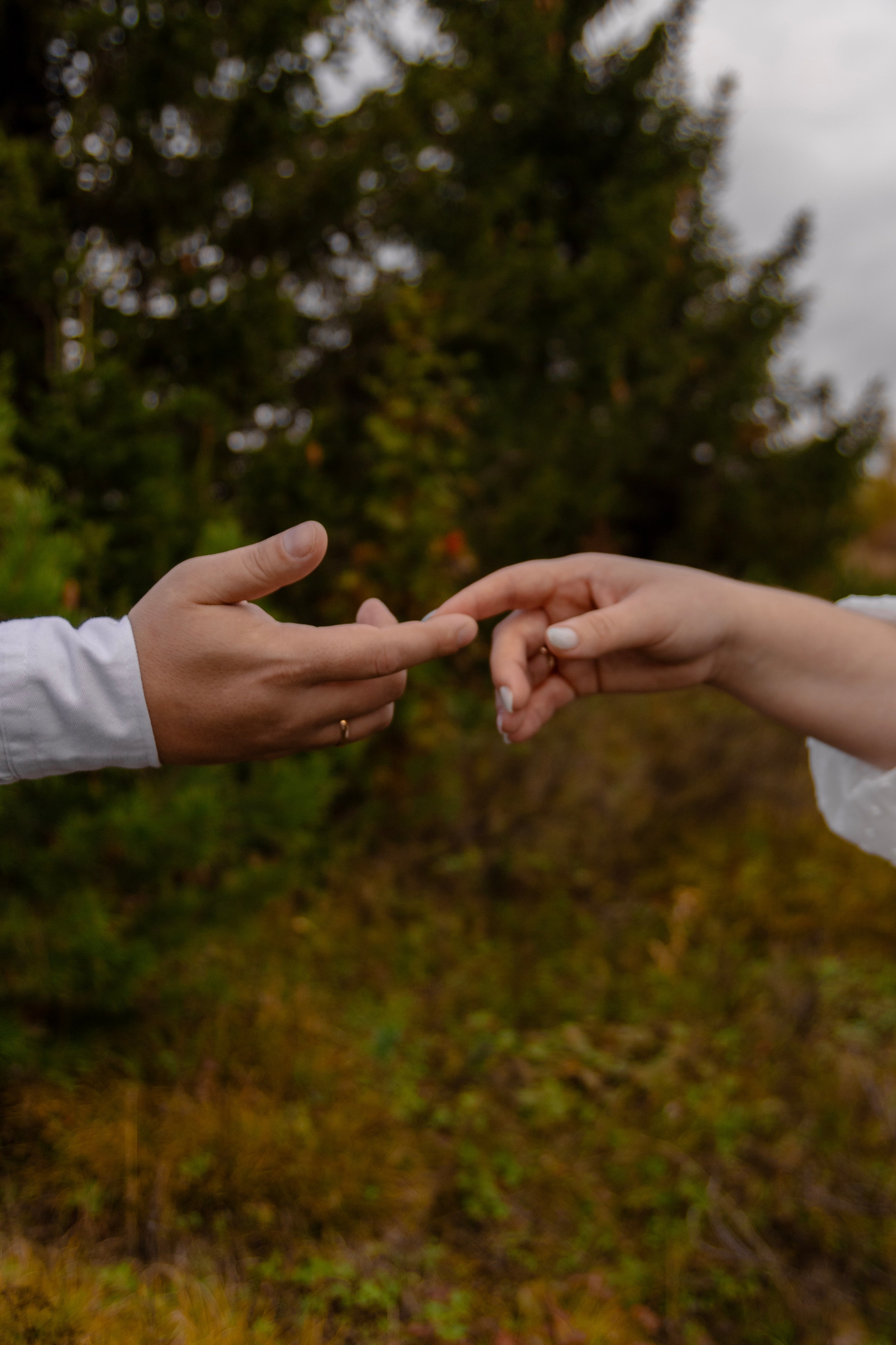 Снежаны и Александра