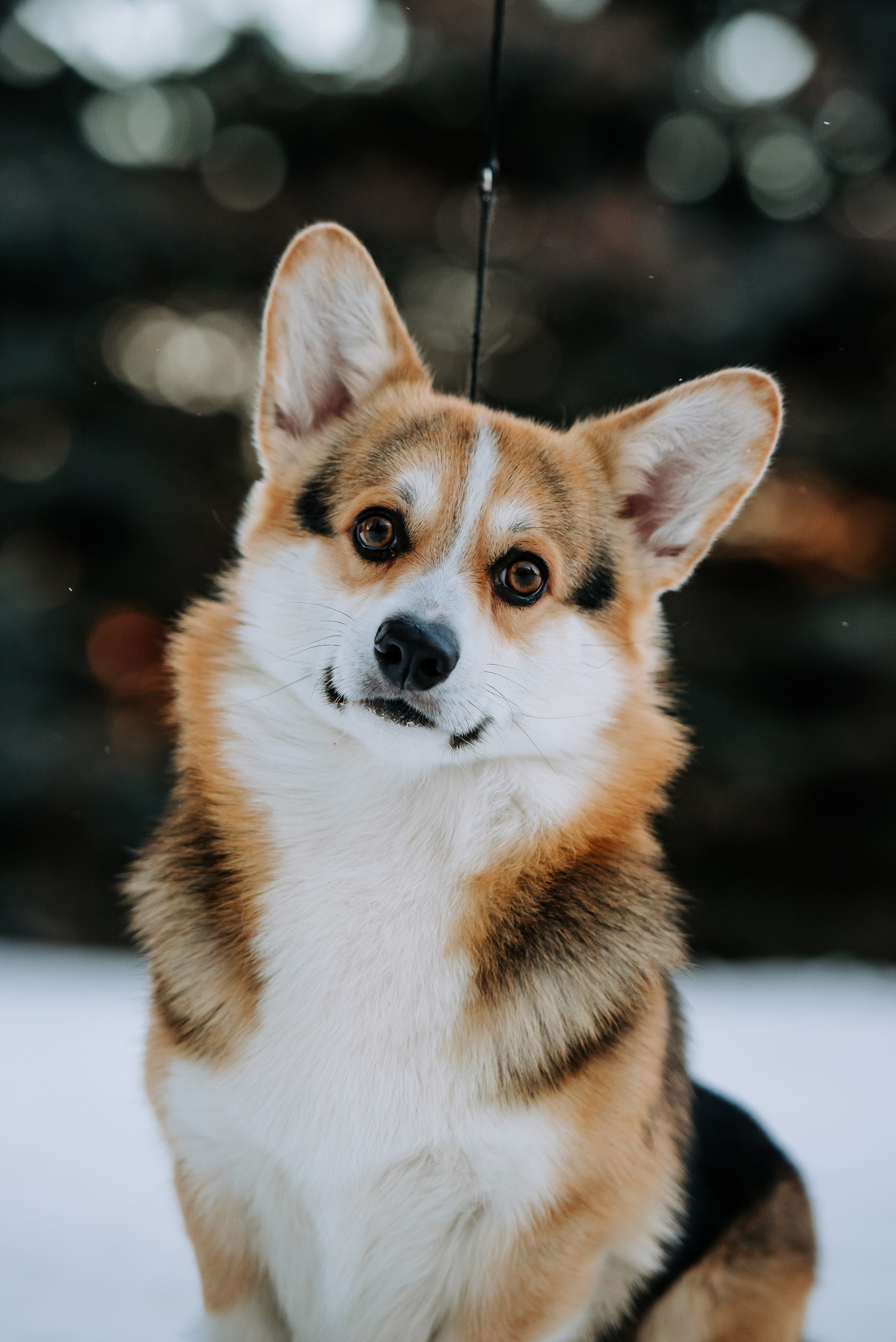 С выставок. Фотограф Диана Оленина Красноярск / Братск