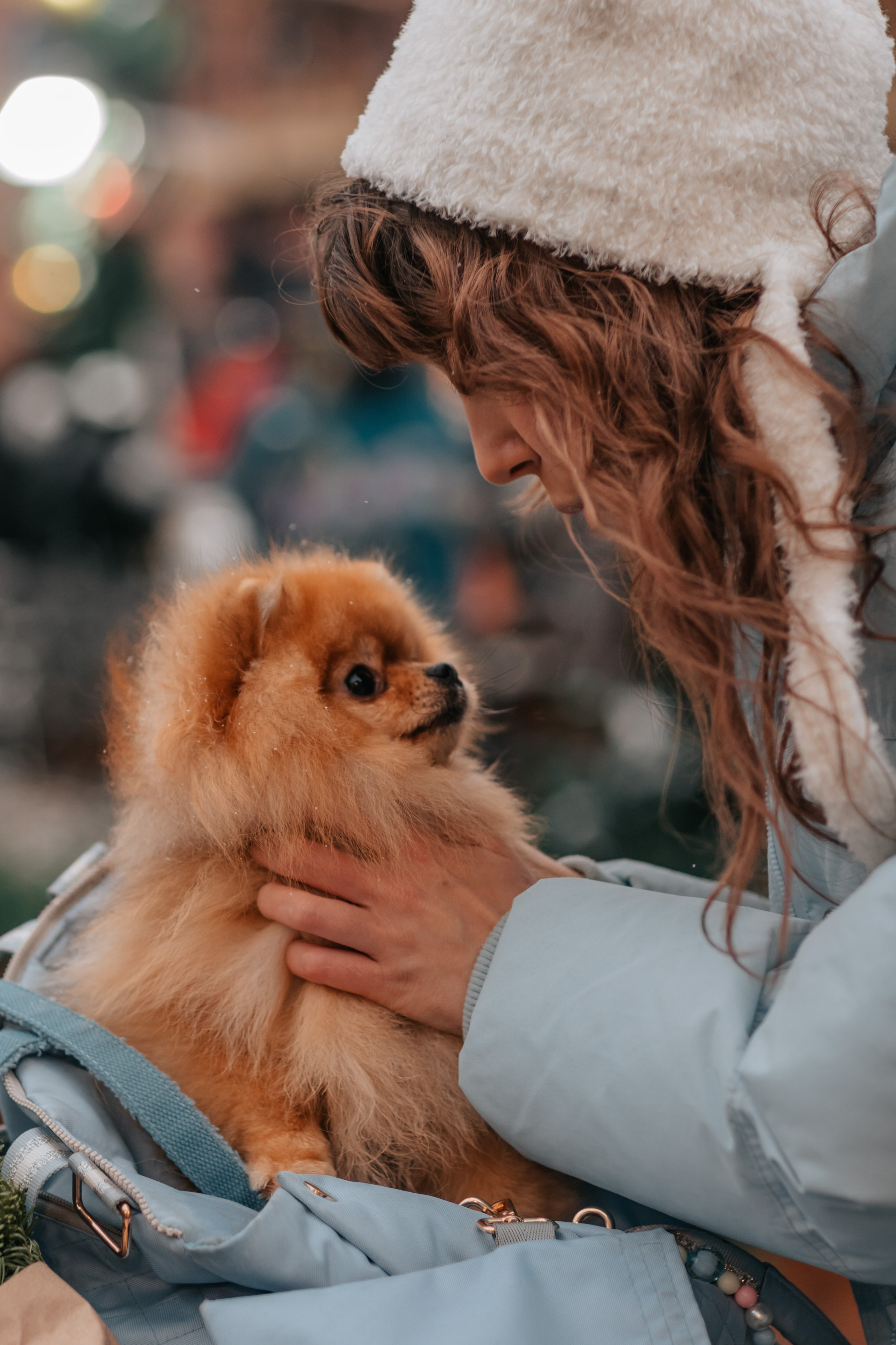 Тоффи и семья на новогодней ярмарке. Семейный фотограф анималист Мария Крючкова