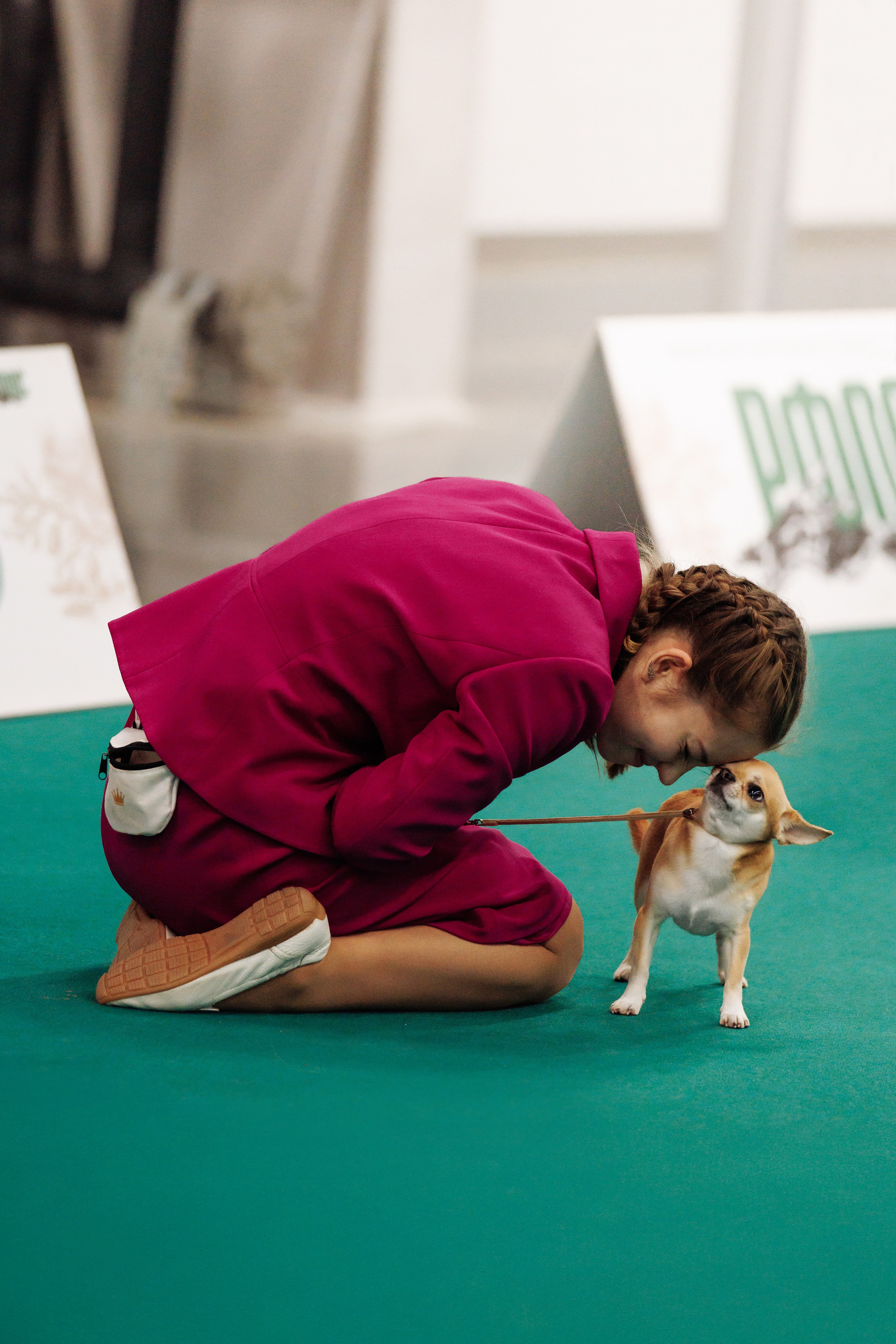 29-30.11.2025 — Казань «Зилант». Фотограф-анималист Саша Вязьмина