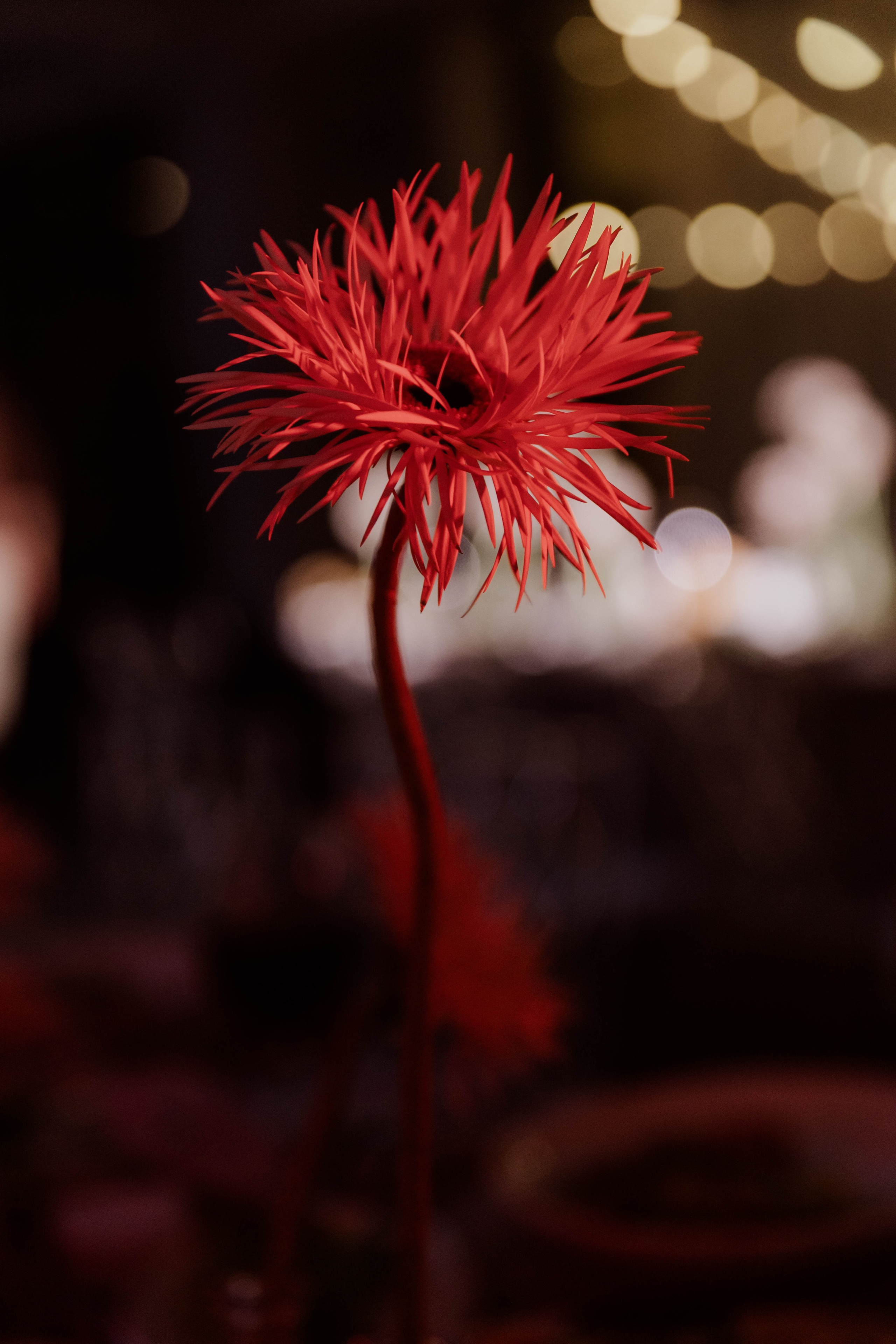 Никита и Мария. Фотограф Юсова Мария