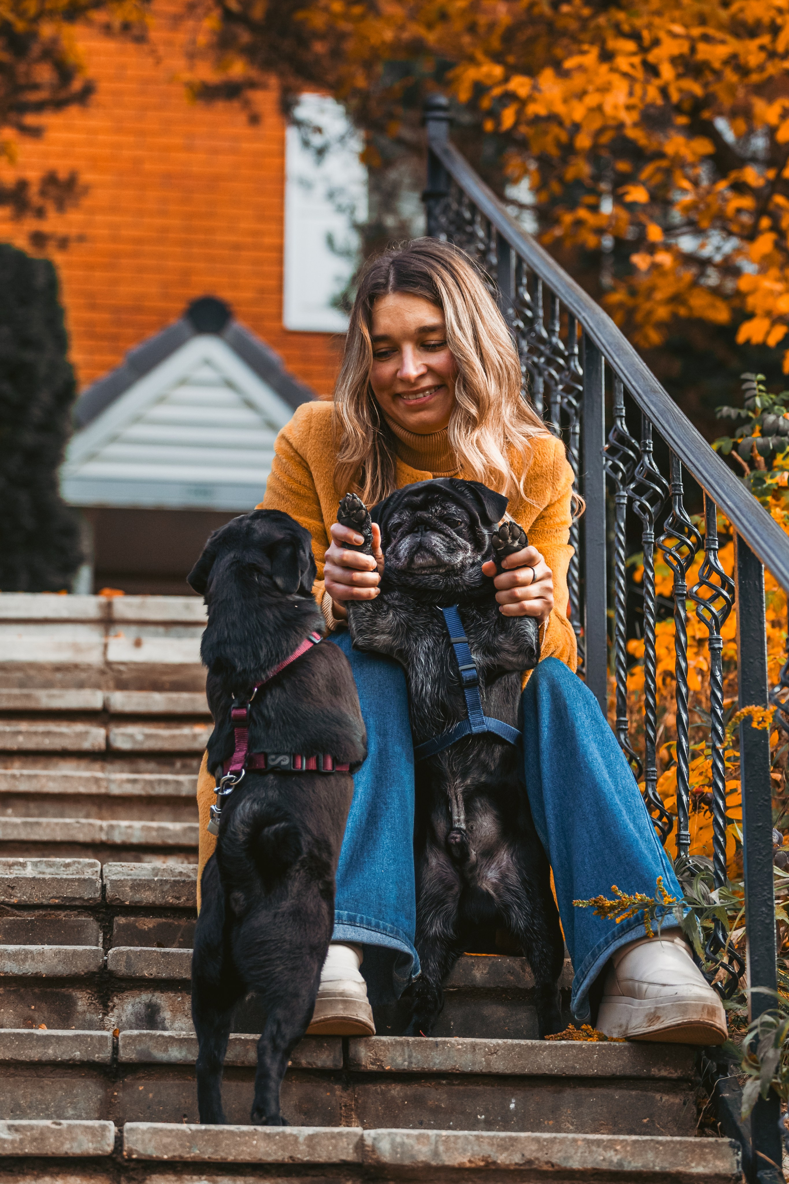 Оля, Харви, Луис. Фотограф-анималист Татьяна Степанова