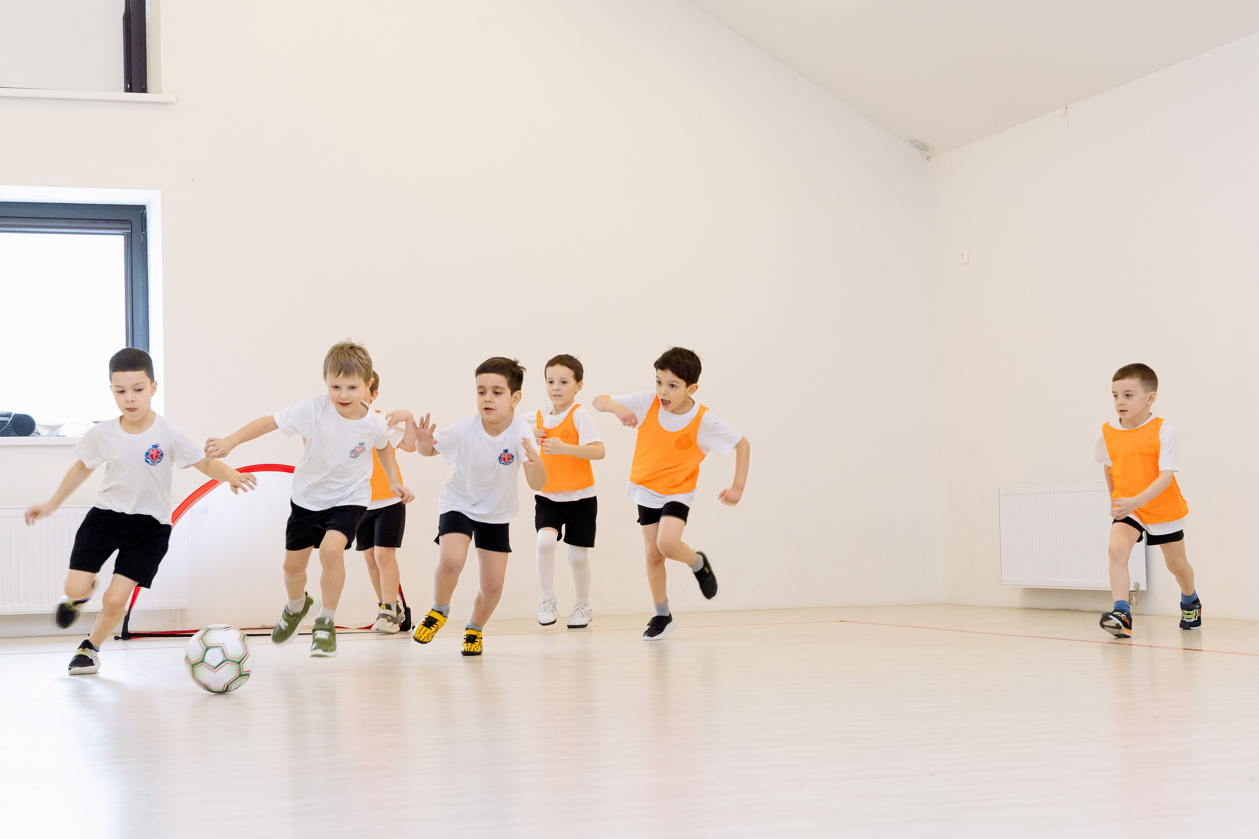 Школа и сад