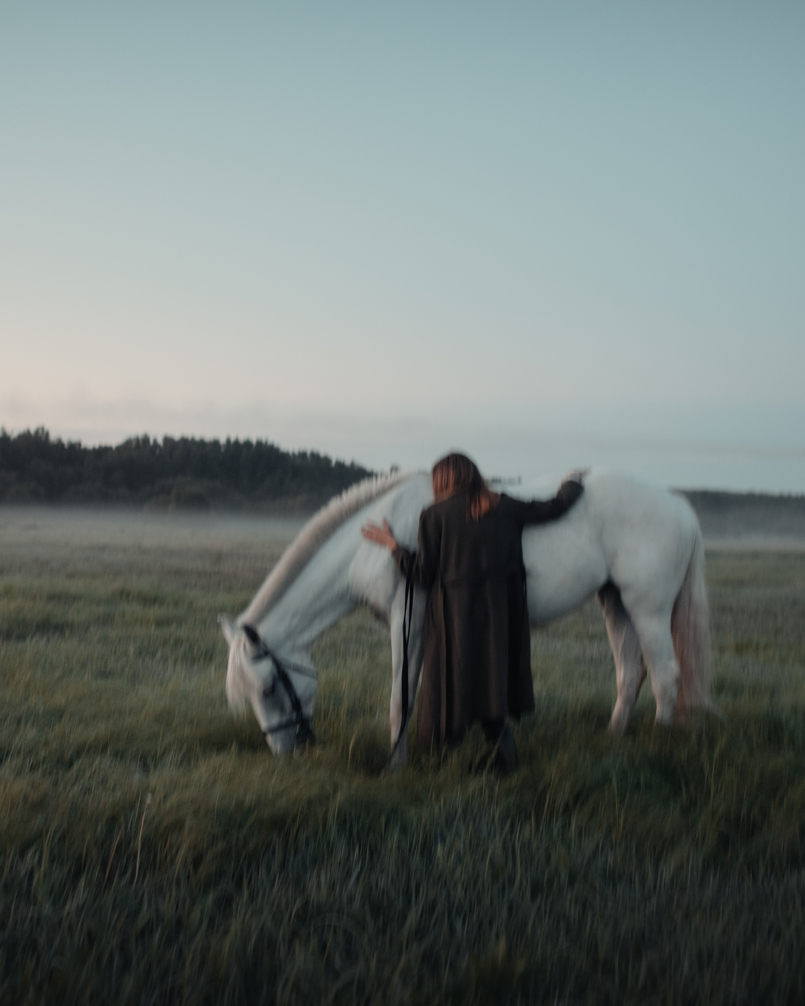 Конное: рассвет на поле с Лерой и Златой. Портфолио