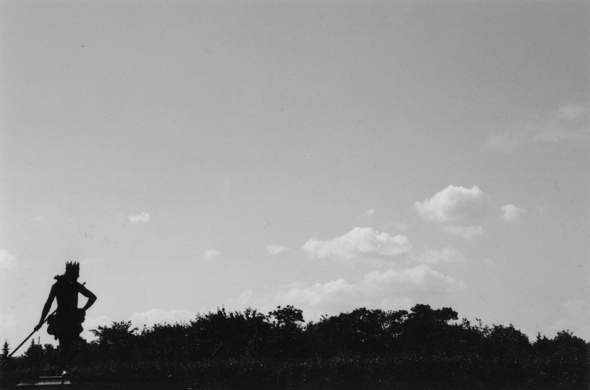 Art Series. Елена Цихон художник фотографии и мастер фото-ДНК