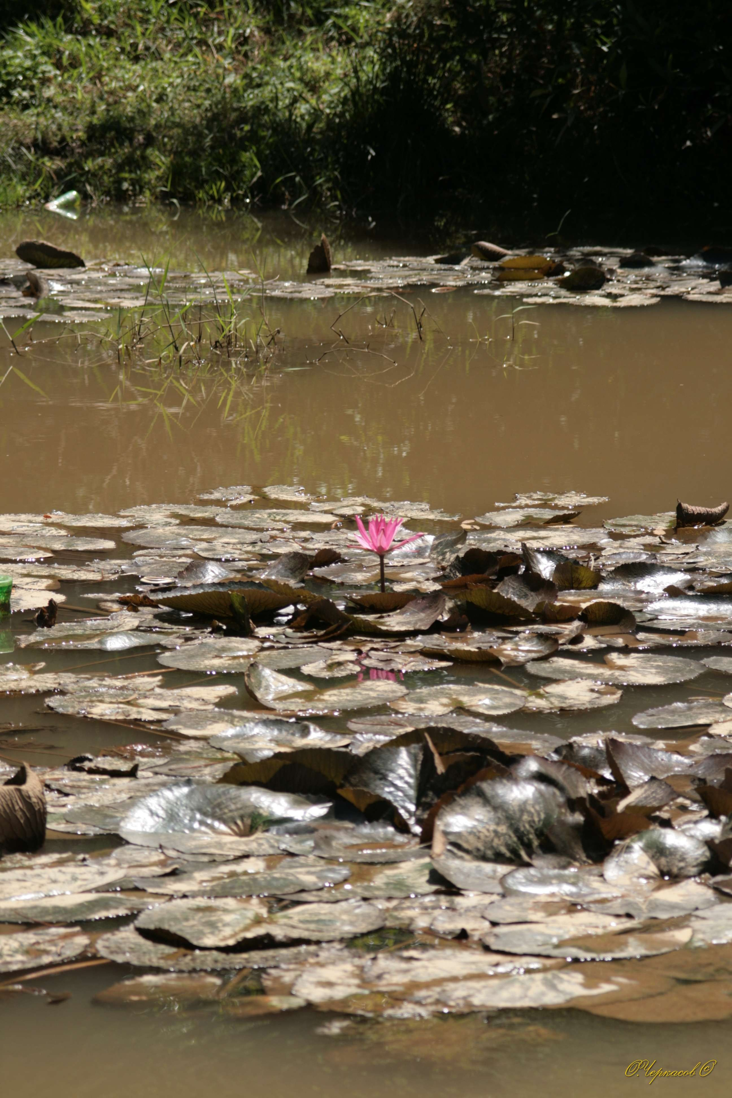 Вьетнам 2008 г. Улица, люди, жизнь…