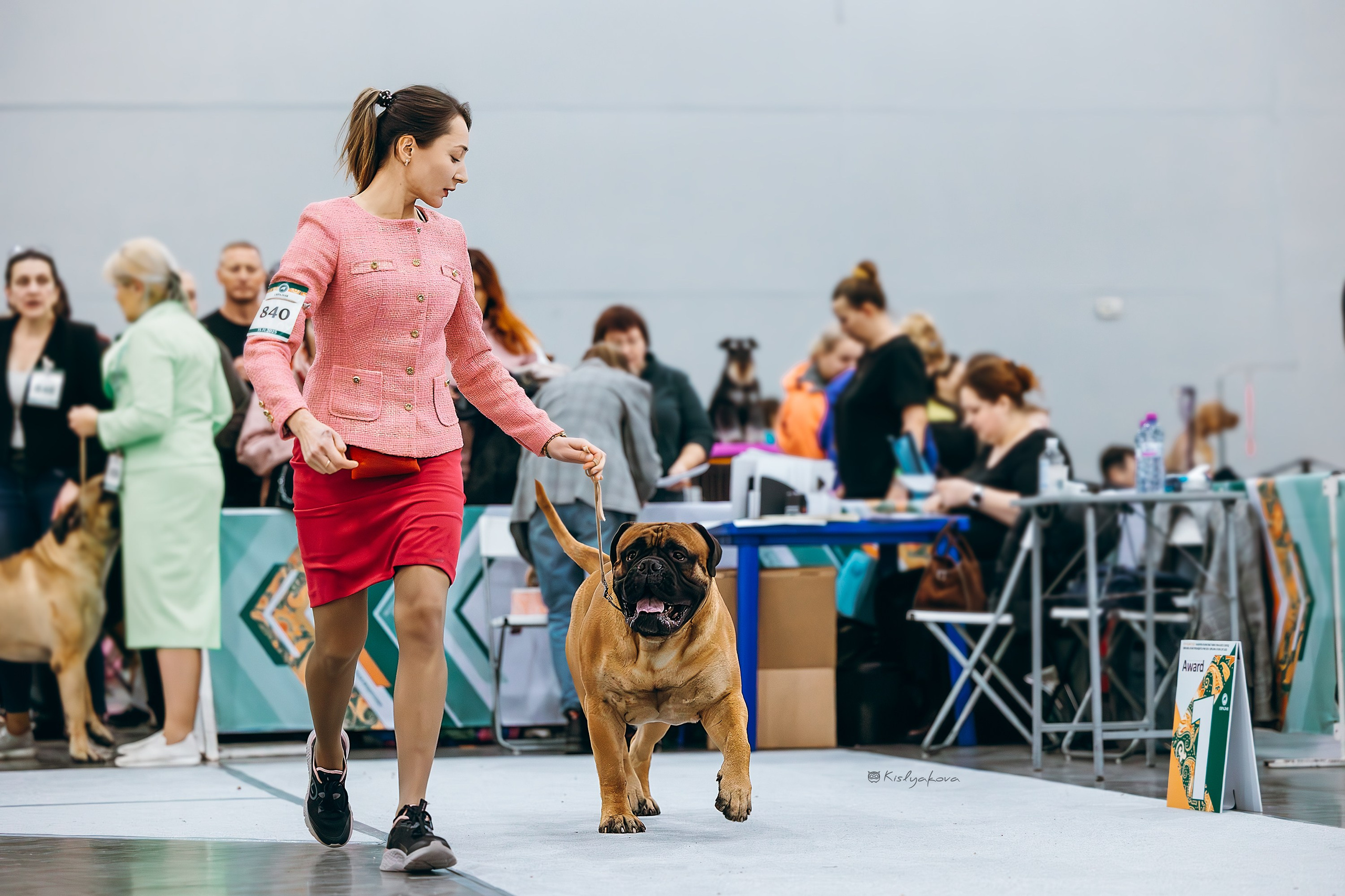 Выставочный репортаж. Фотограф. Фотограф-анималист. Москва