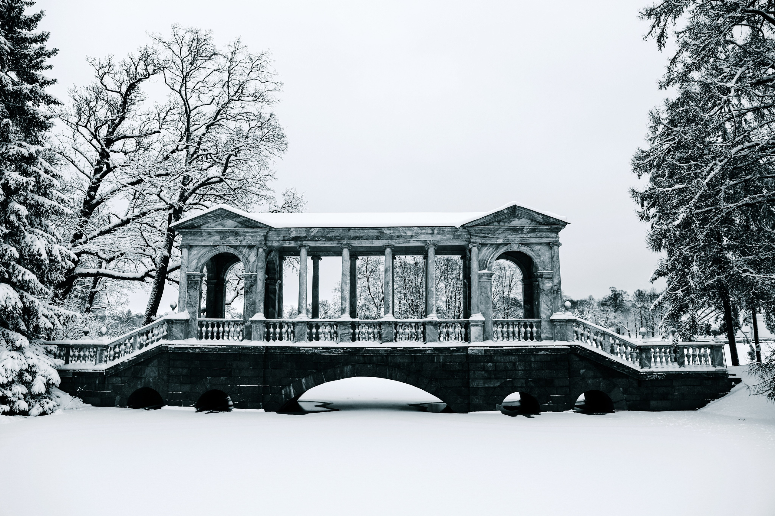 Фото с прогулок и с поездок на Кольский полуостров