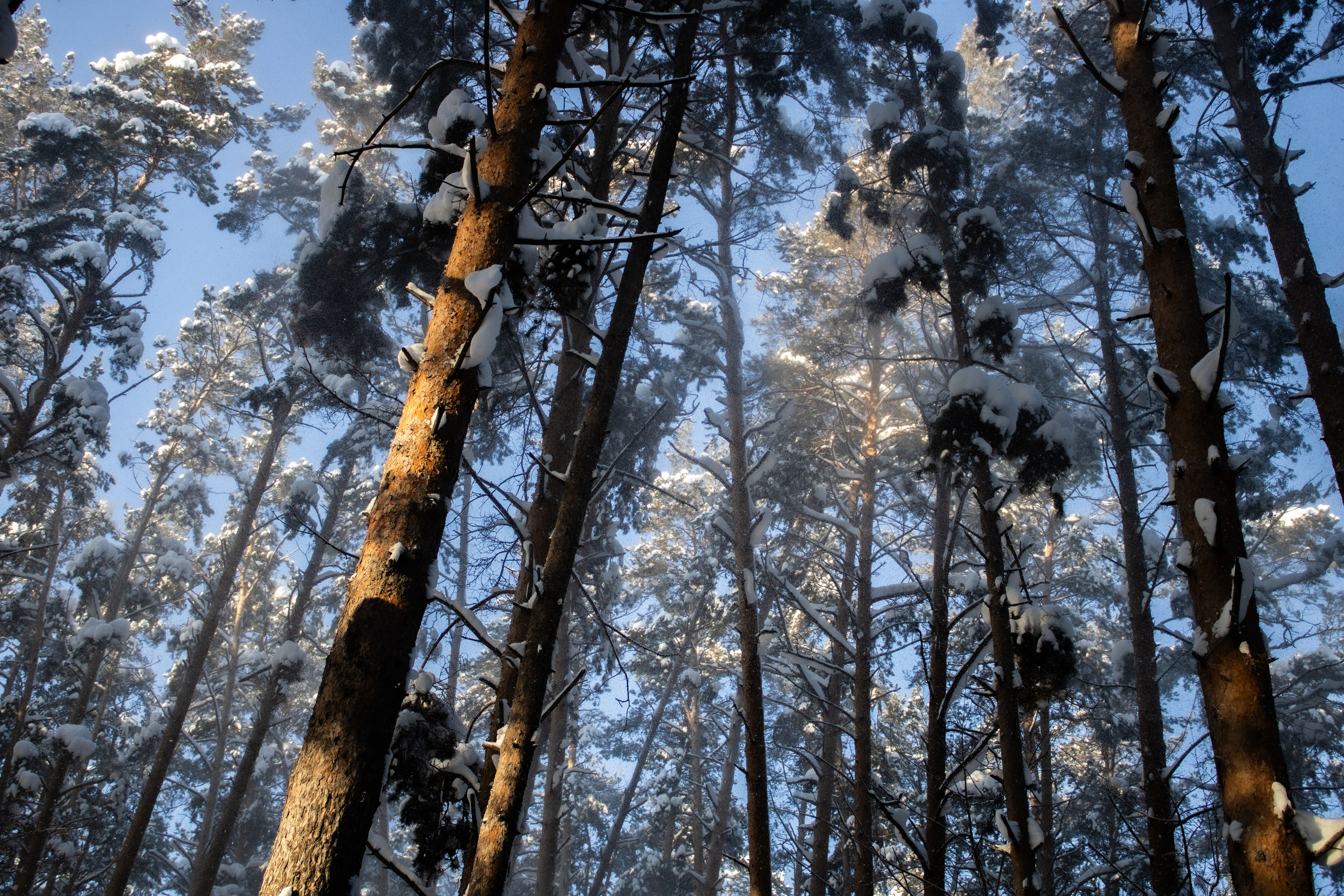 Вдохновение. Бутакова Елена фотограф в Екатеринбурге