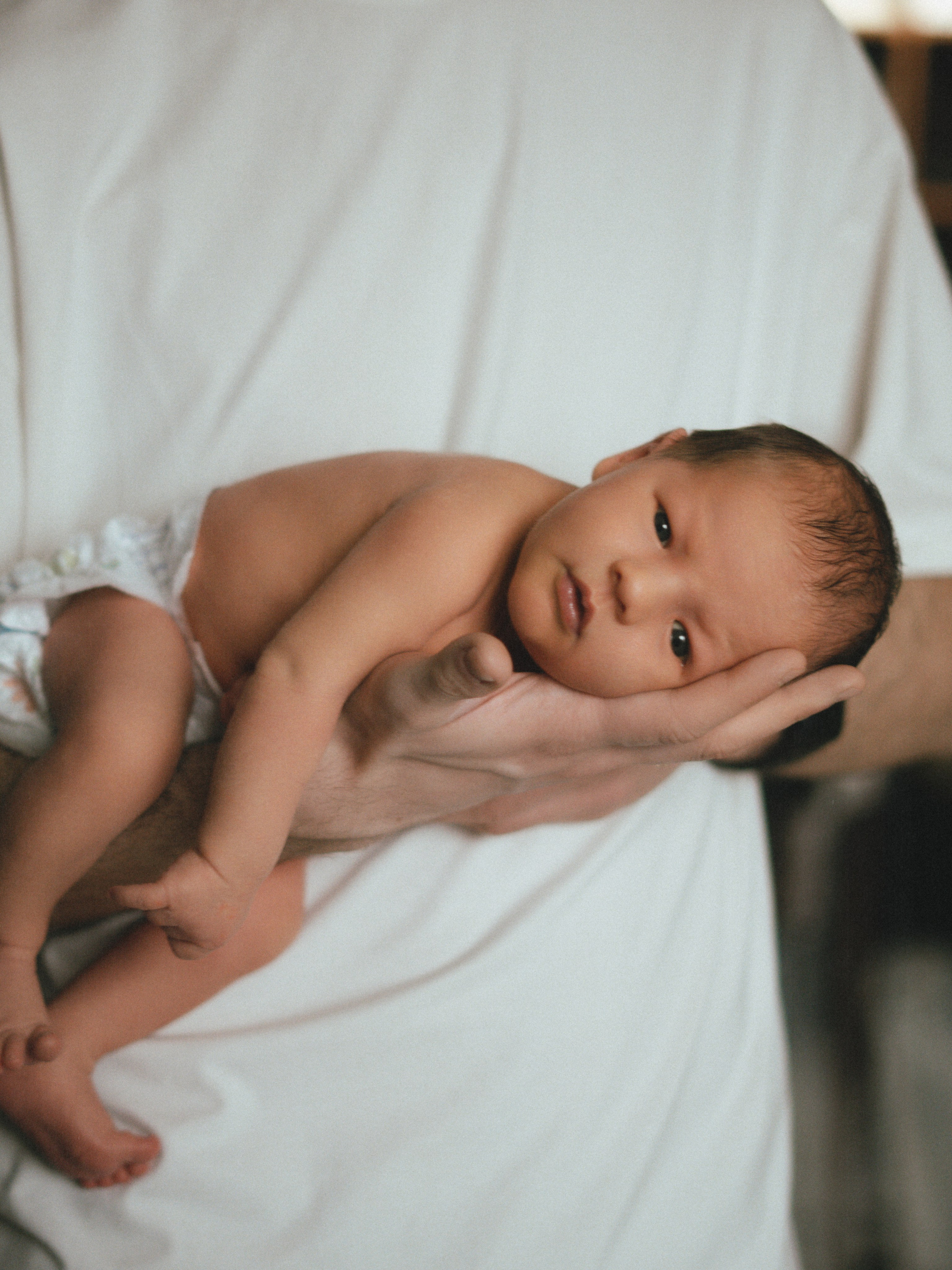 Мироша. SHILOVA PHOTO. Шилова Екатерина. Фотограф. Москва