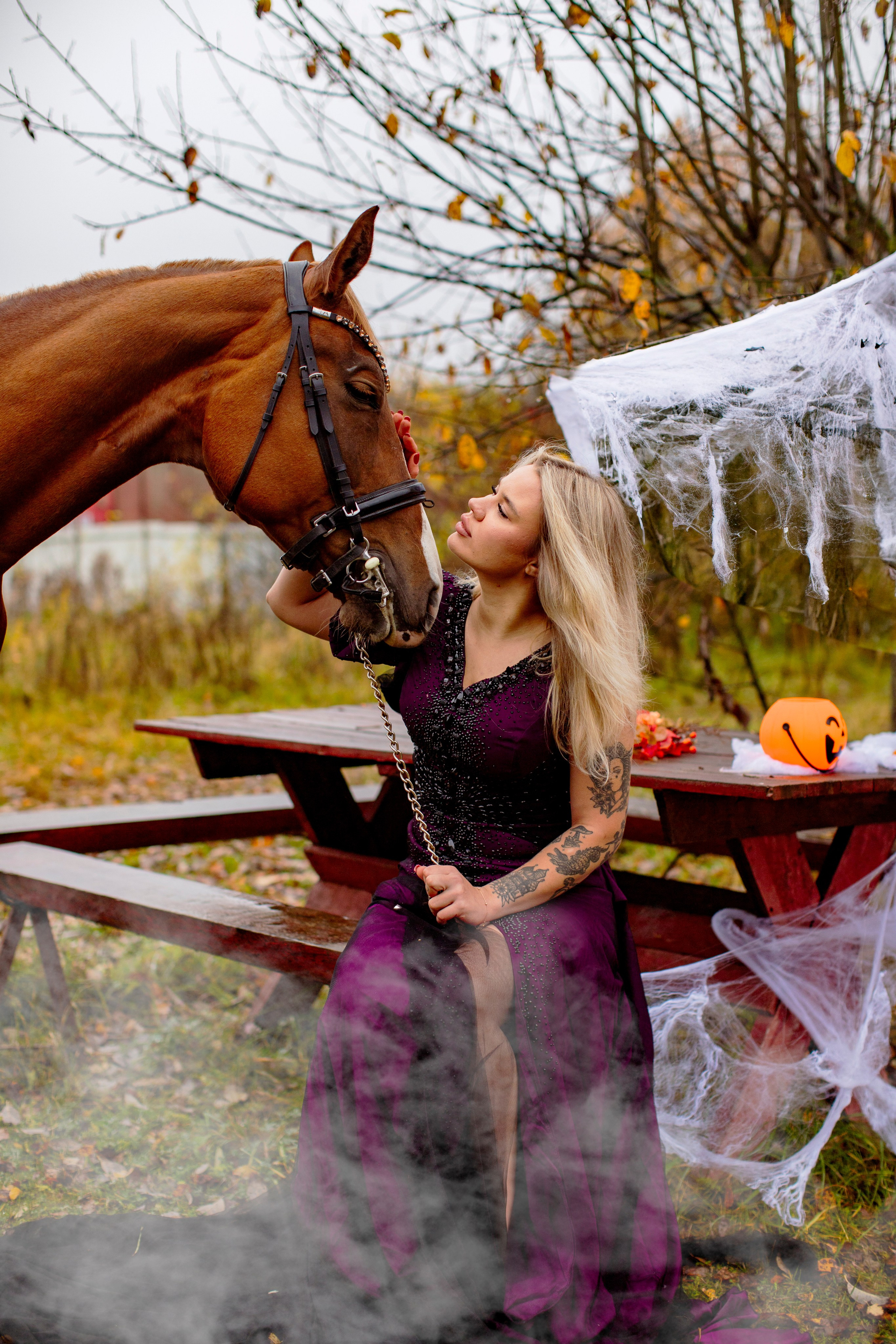 С лошадьми. Фотограф в Москве и в Московской области Сандра