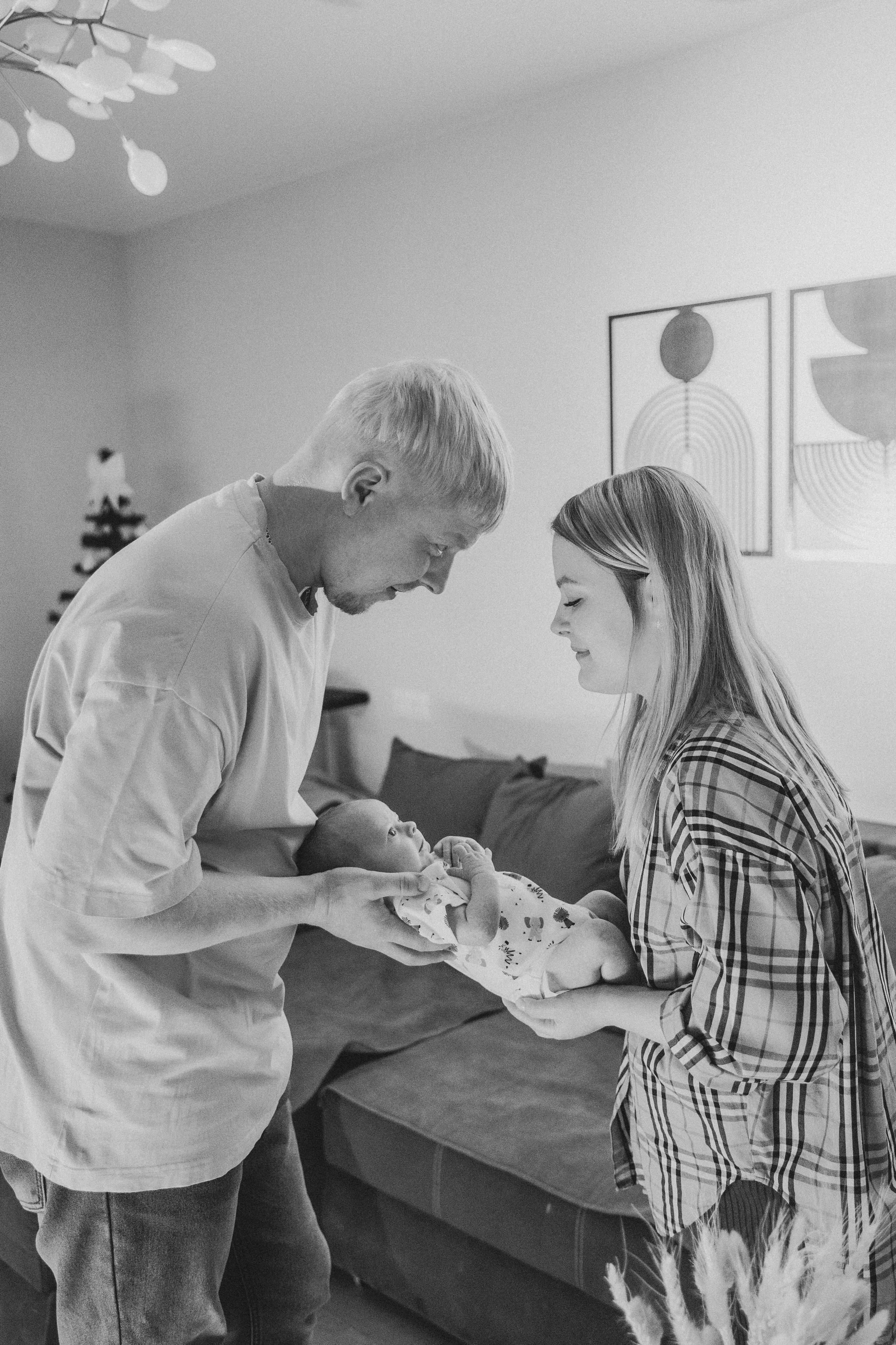 Лев. Фотограф Анастасия Петрова