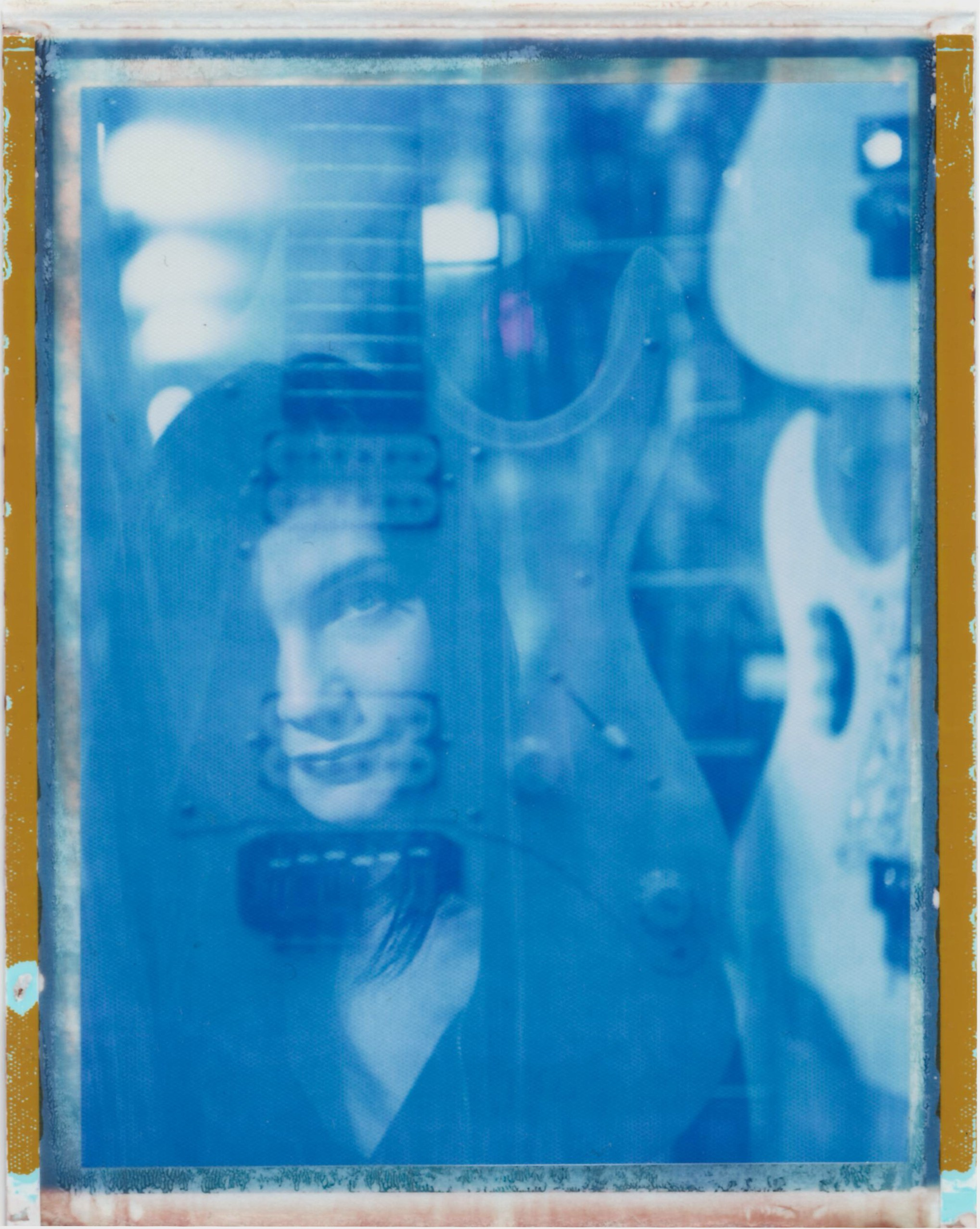 POLAROID LAND 195. Анна Ульянова