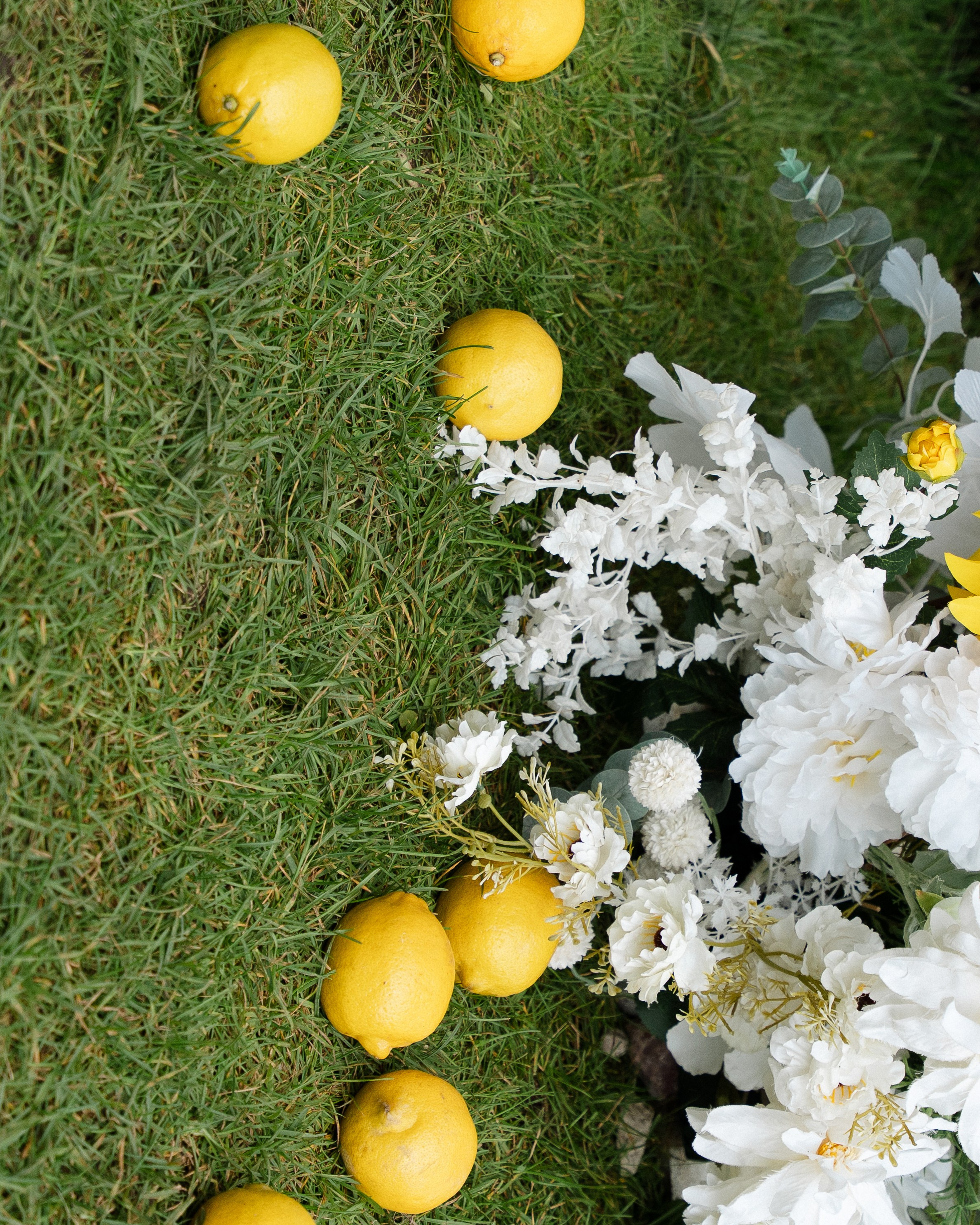 Иван & Анастасия. Женский портрет и свадьбы в Москве. Морад Диана