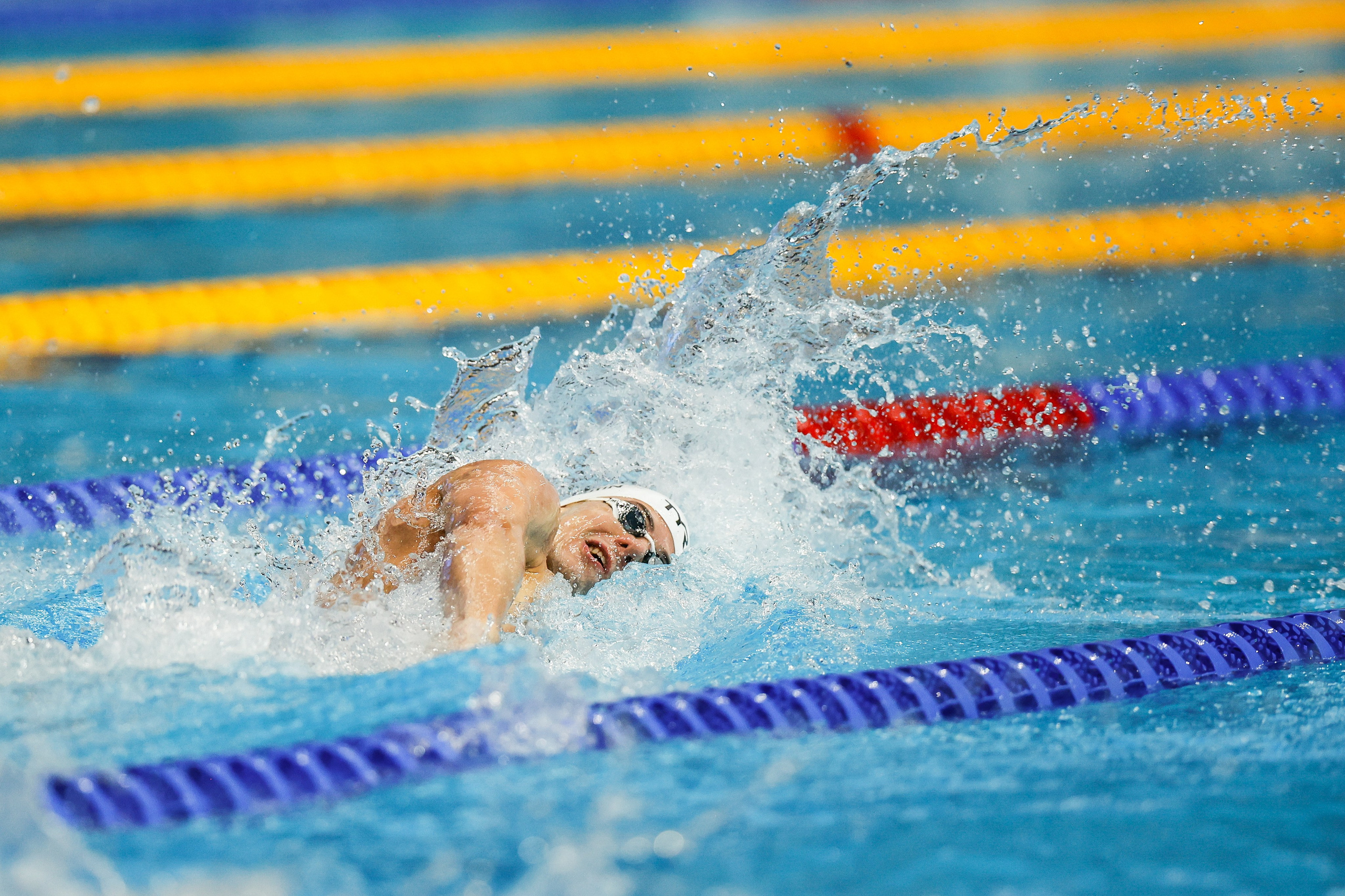 Чемпионат России по плаванию 2023. Спортивный репортажный фотограф Казань Нафис Сиразетдинов