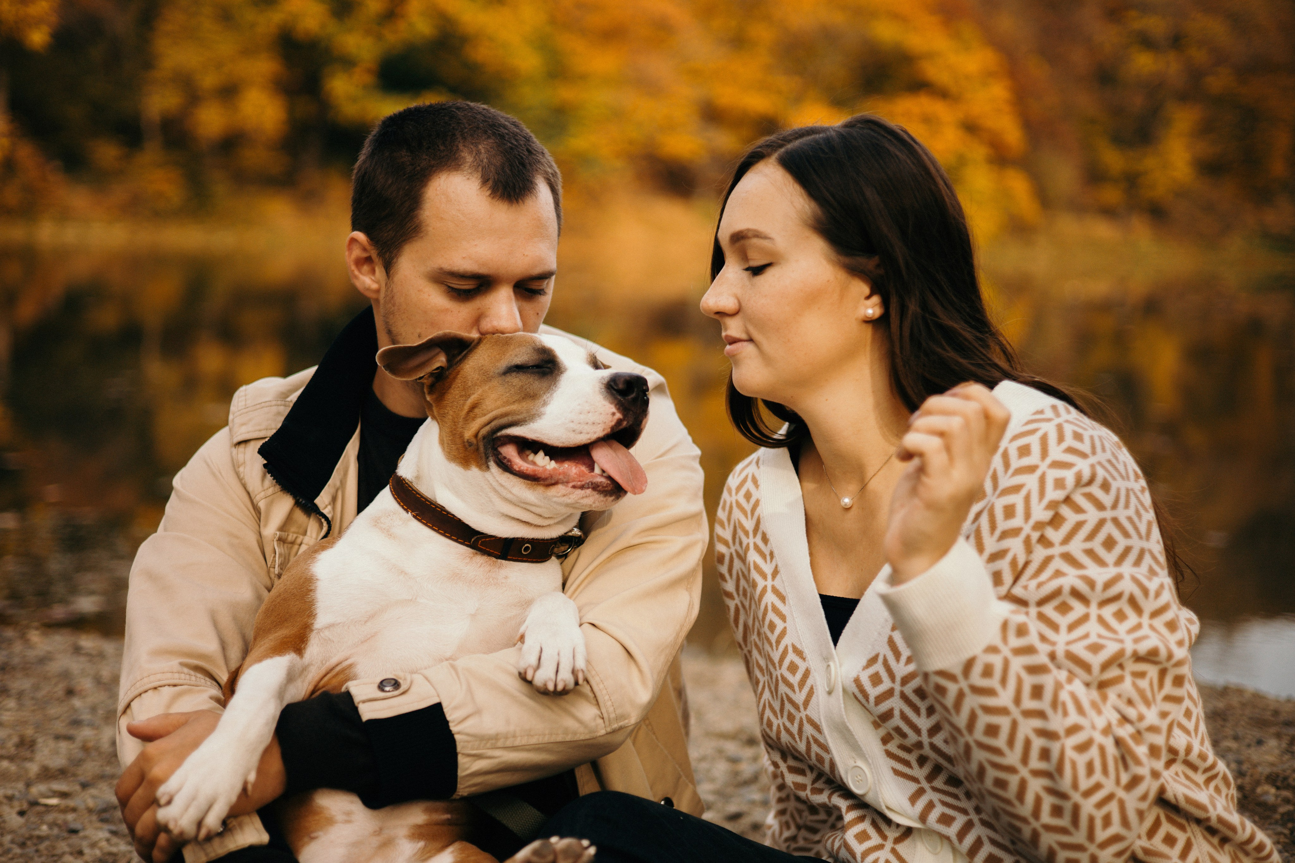 Лаффи и ее семья. Фотограф — анималист Владивосток, Алина