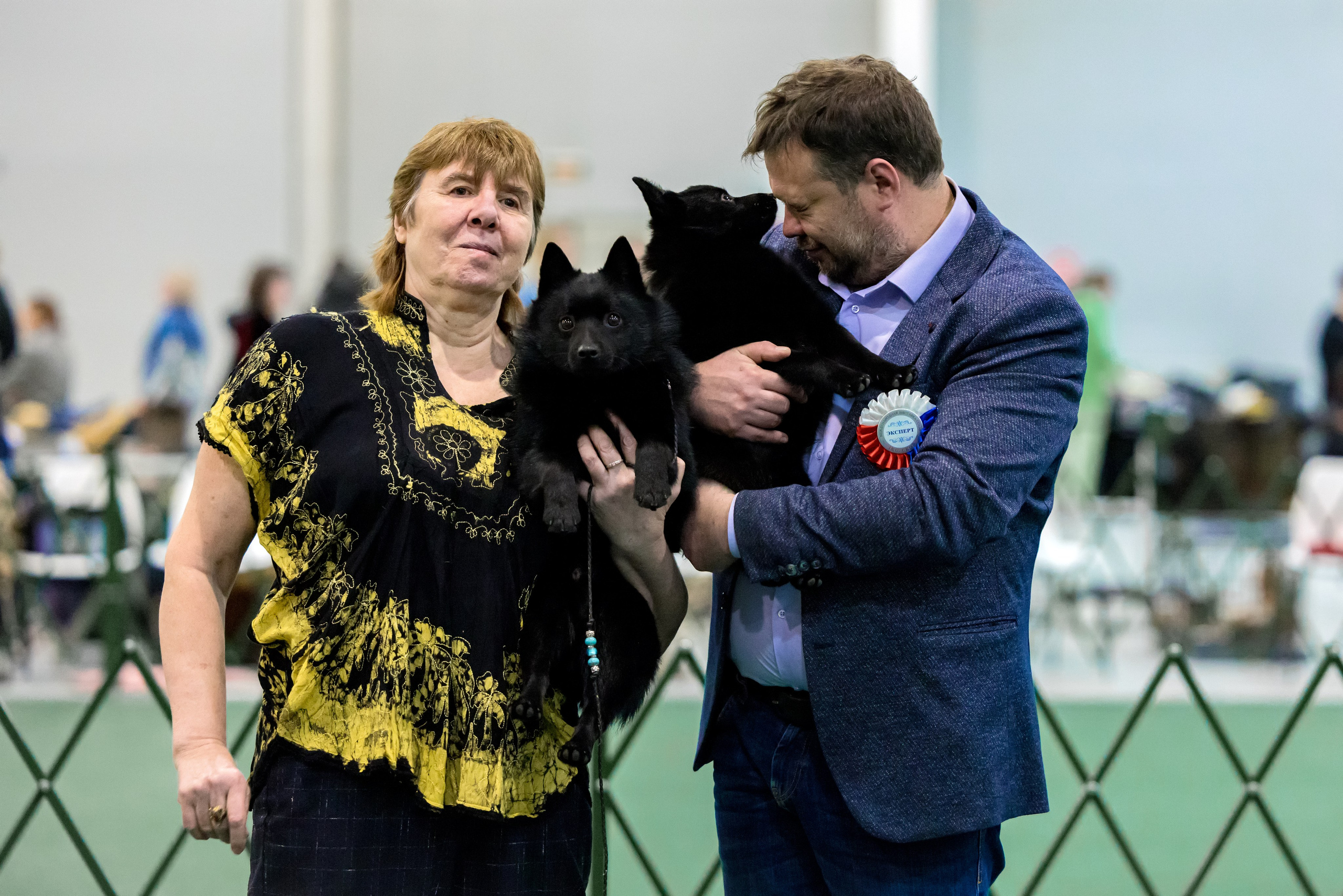 Крокус 3,9 и 10.12.2023. Фотограф-анималист Юлия Германика