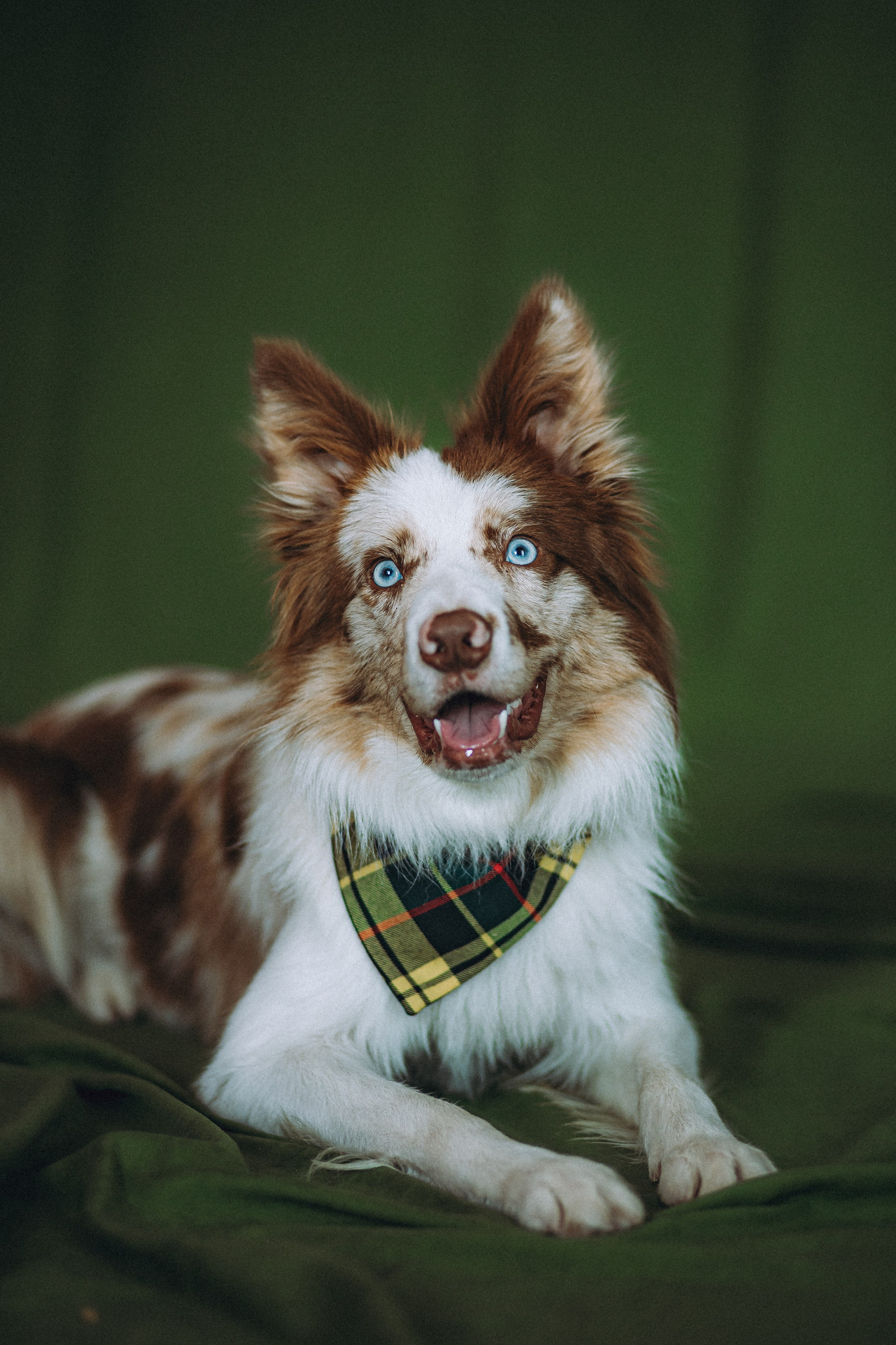 День рождения Айко