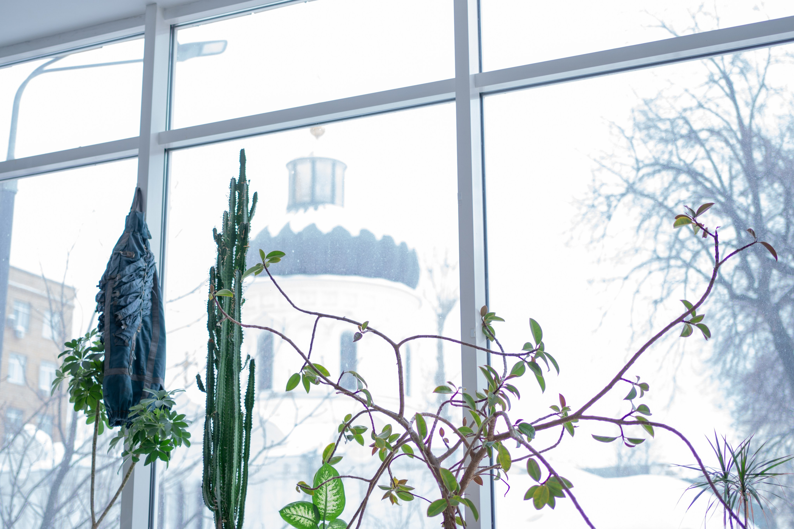 Summer nostalgie. Maria Abdullaeva