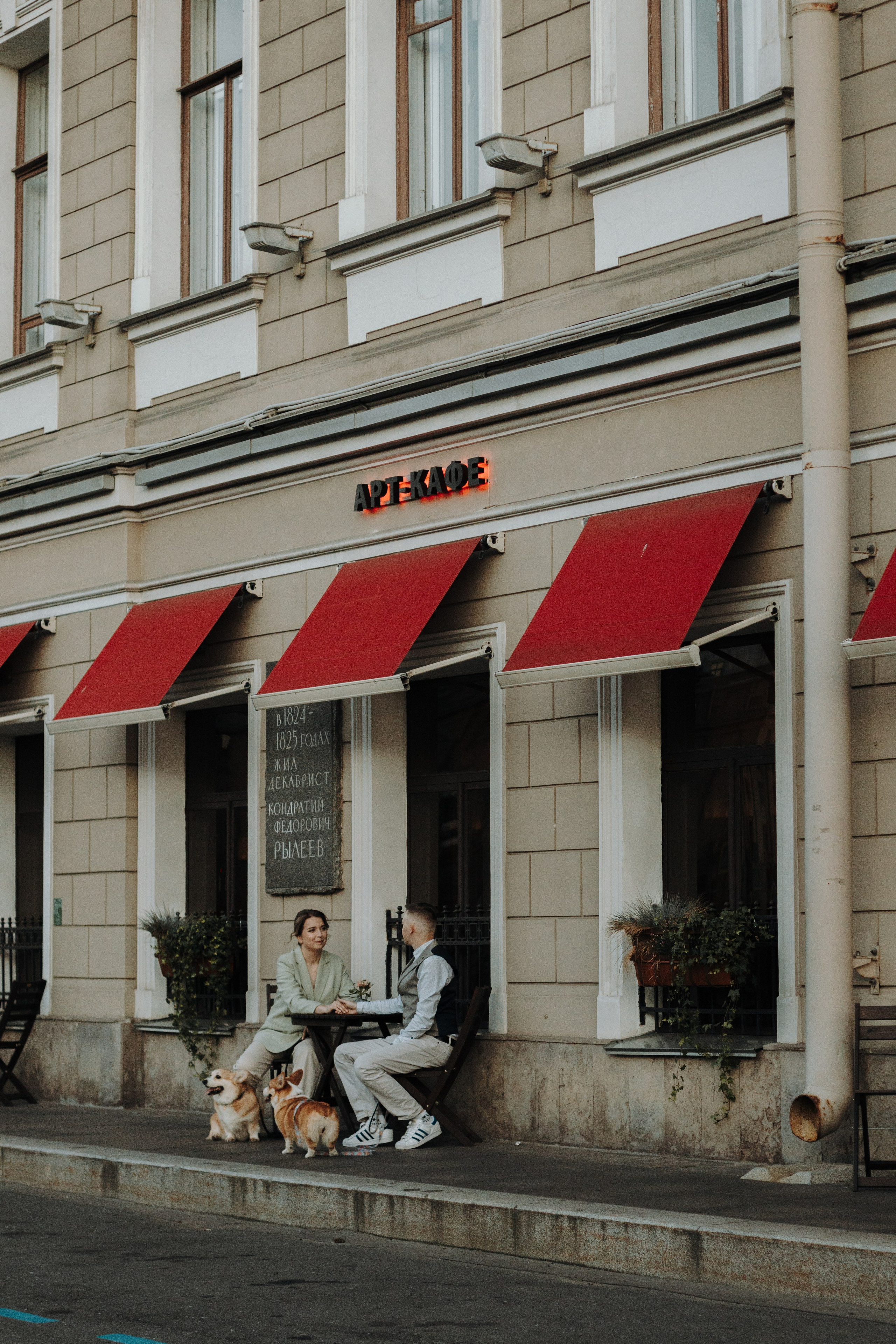 Лиза и Саша, Варди и Челси. Фотограф-анималист в Санкт-Петербурге