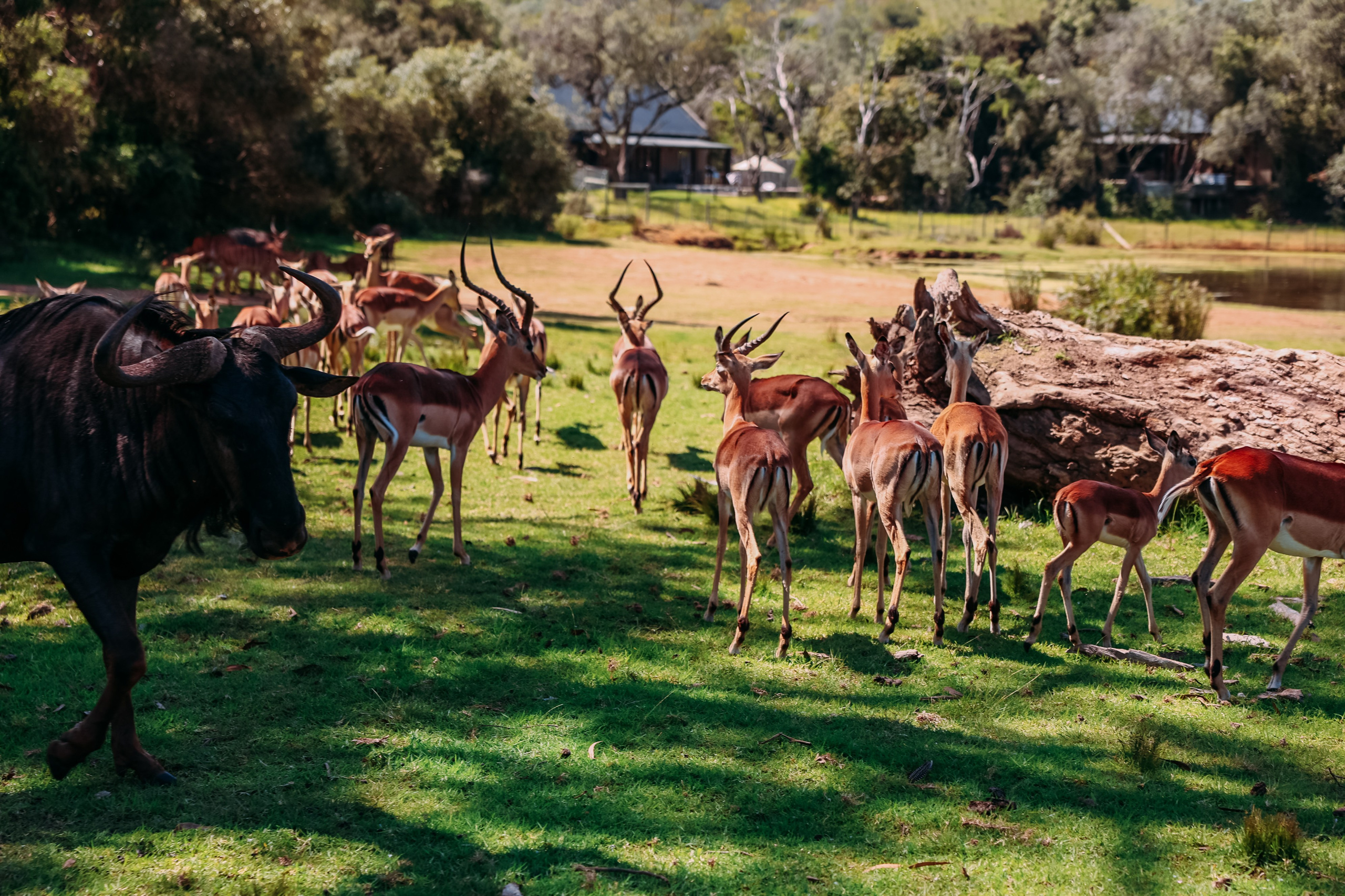 ФОТО ТУРЫ ПО МИРУ. Фотограф Марина Аблаева-Кожедуб