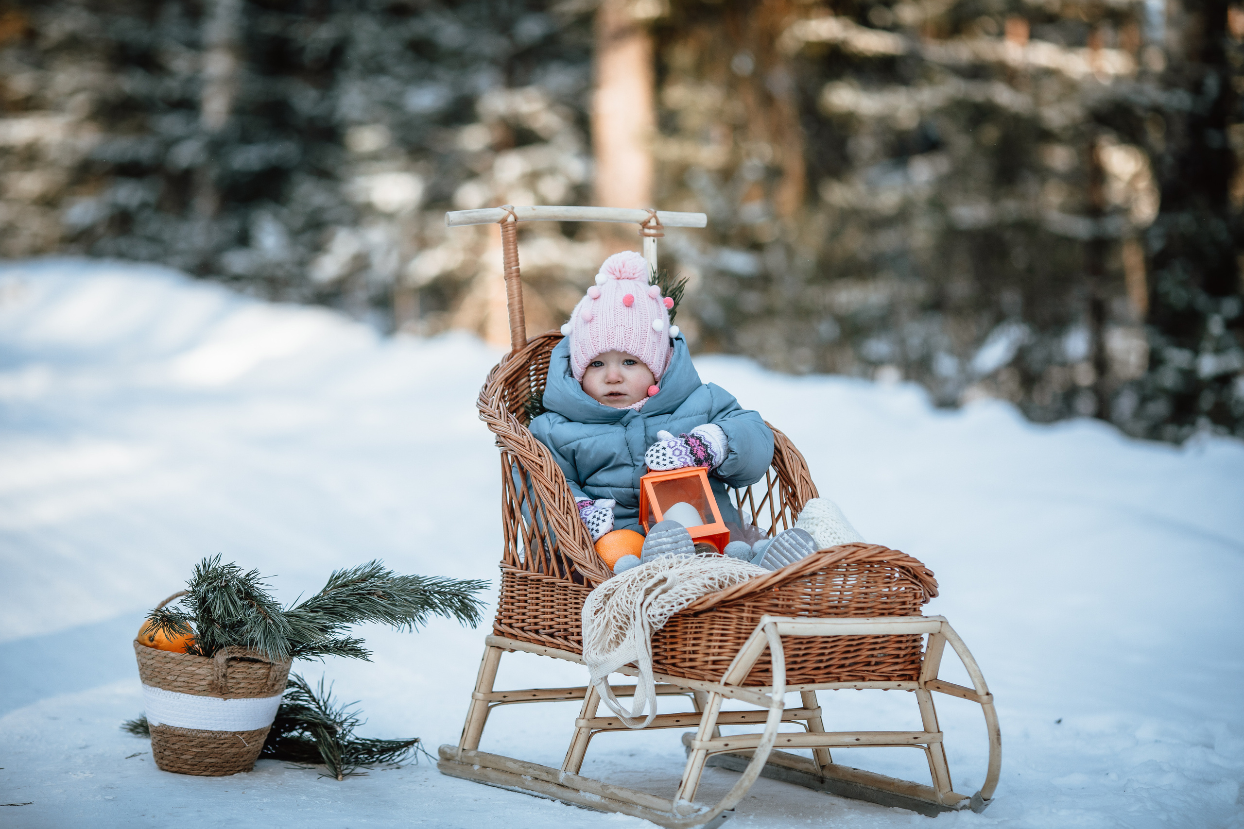Морозный январь. Olga.filippova.photo