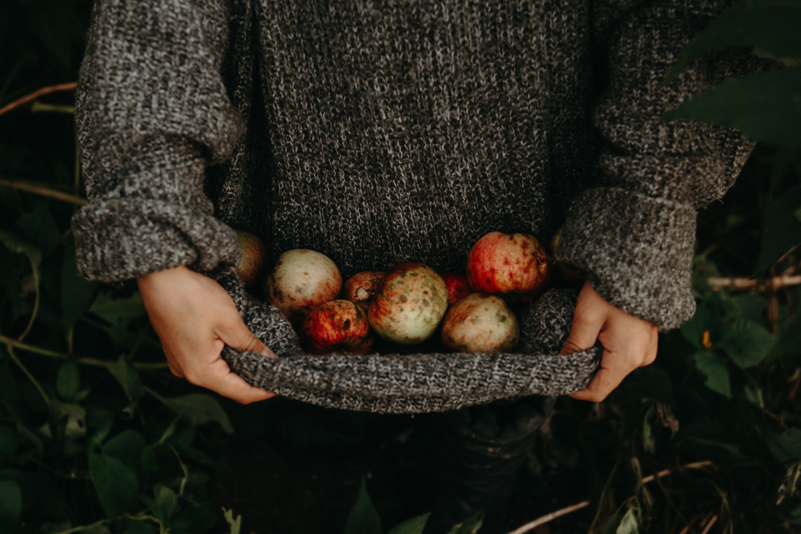 Друзья на даче. Ирина Метелица фотограф на Шикотане