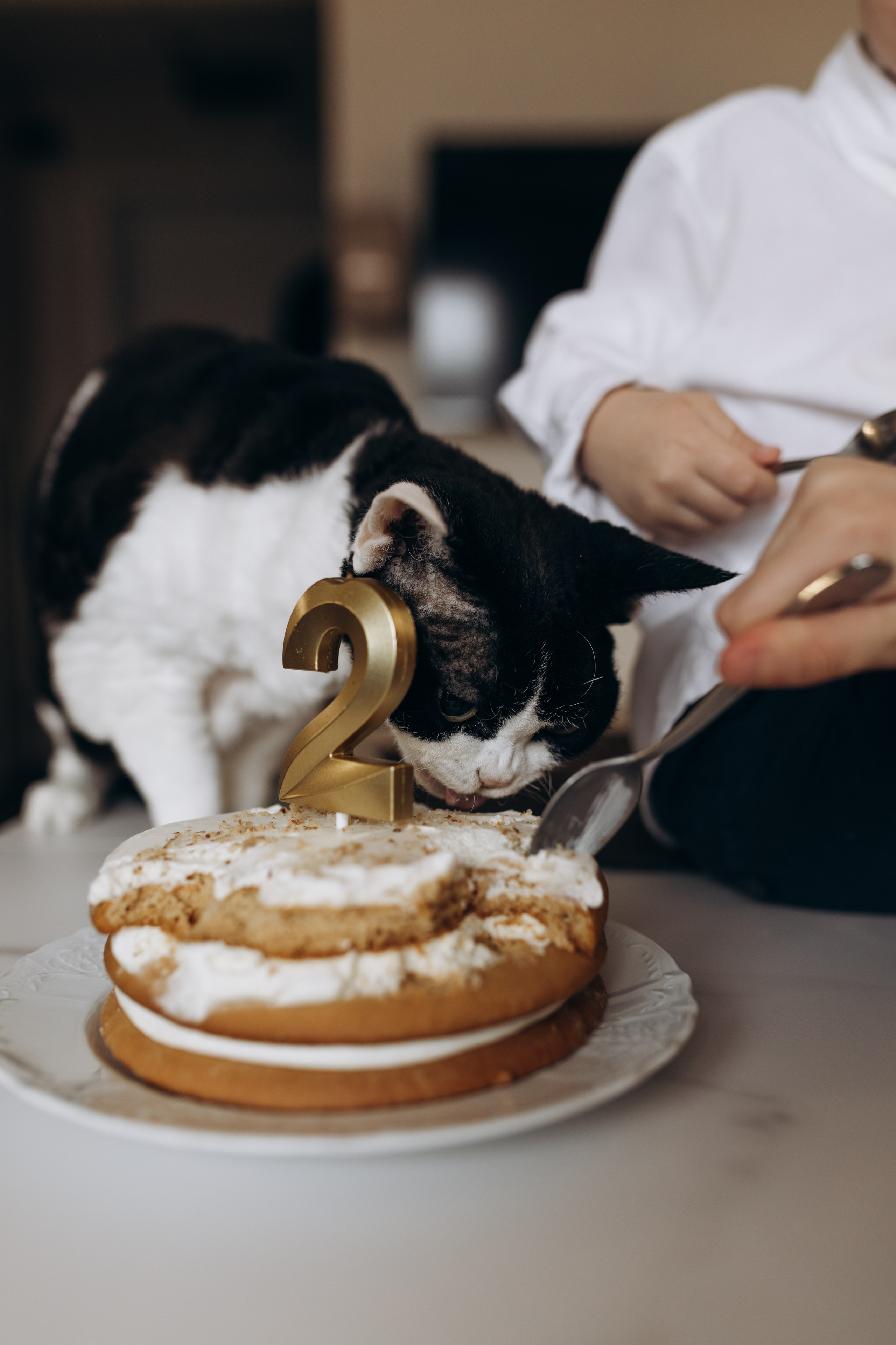 День рождения Леона. Фотограф Людмила Оюн