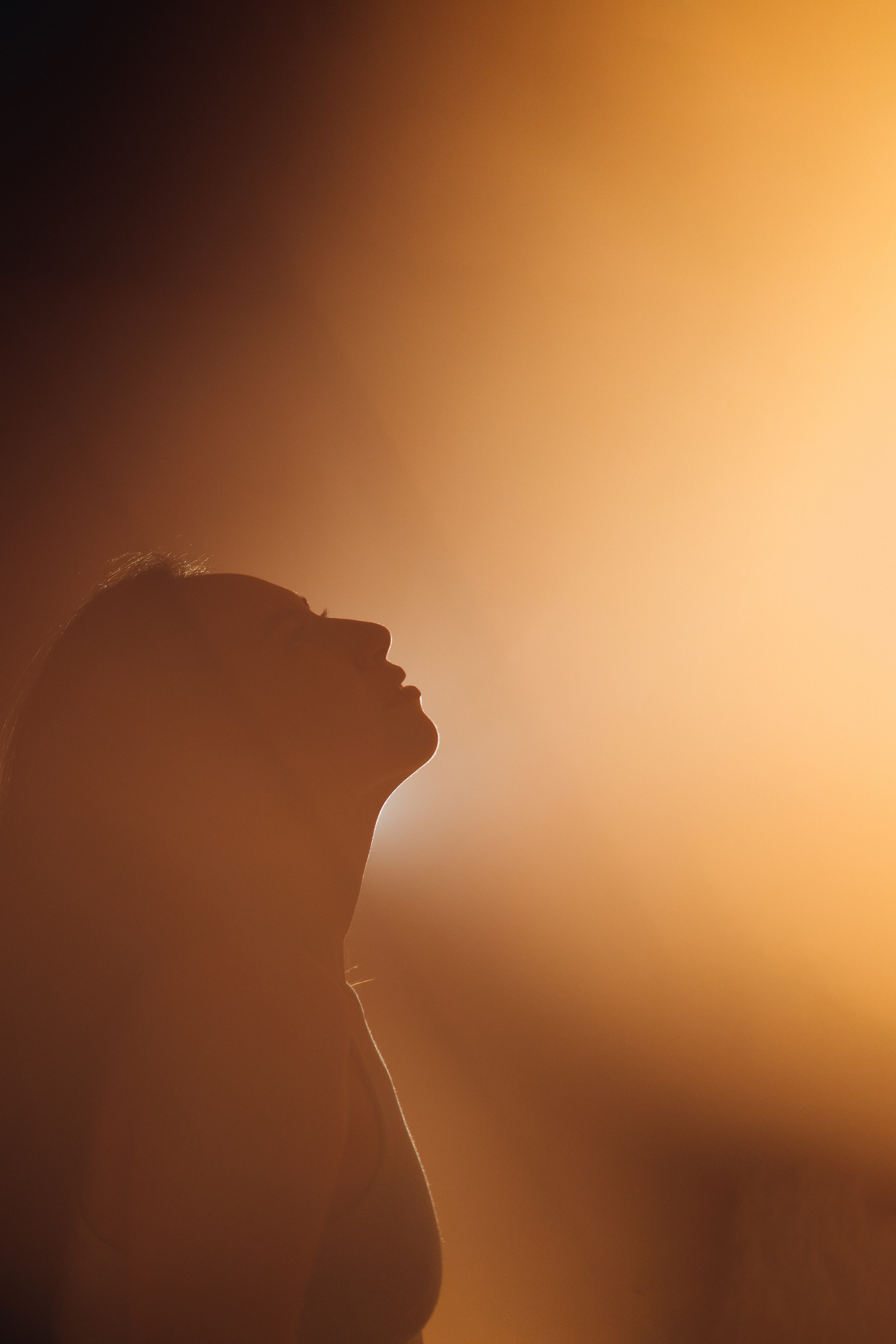 Свет и цвет. Видеооператор, фотограф в Санкт-Петербурге