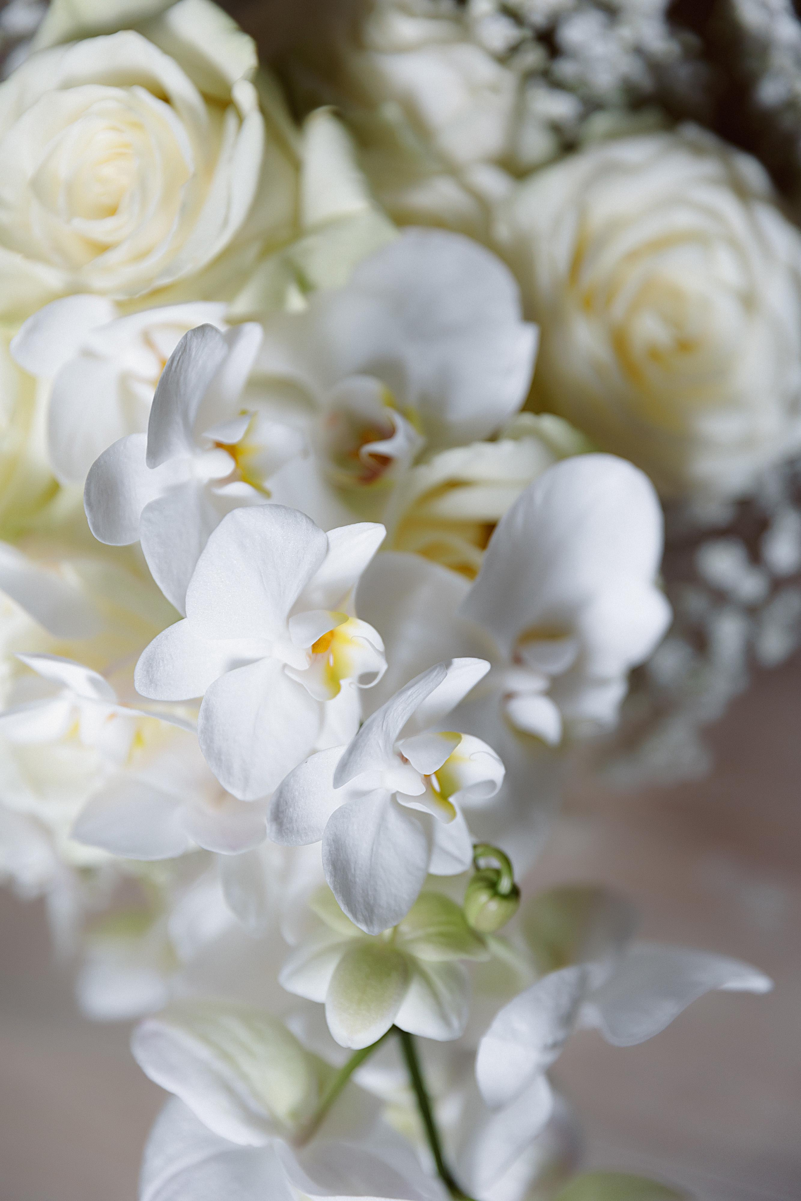 Виталий и Анна. Свадебный и семейный фотограф Харольцева Наталья