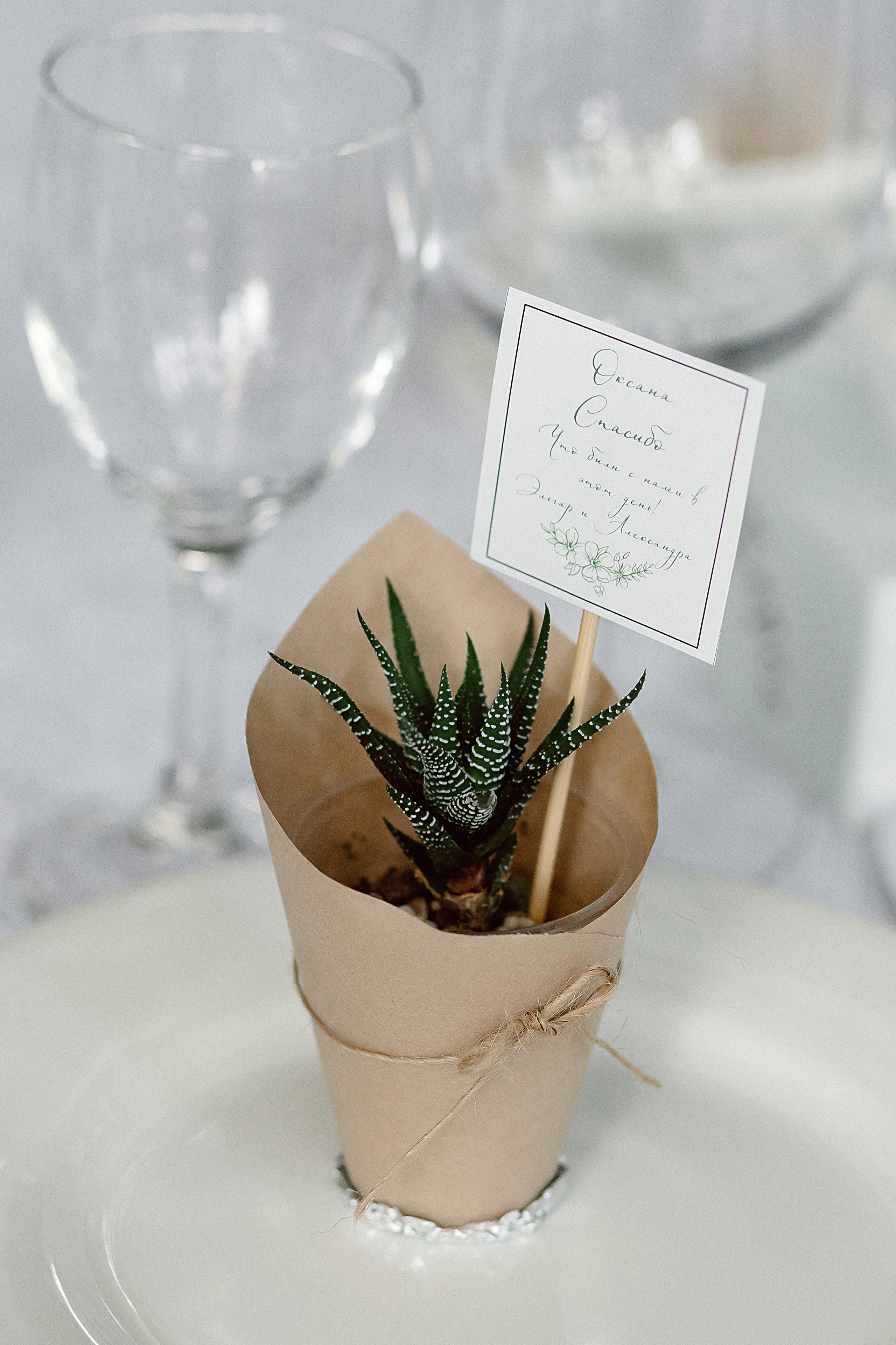 Эльгар и Александра. Свадебный и семейный фотограф Харольцева Наталья