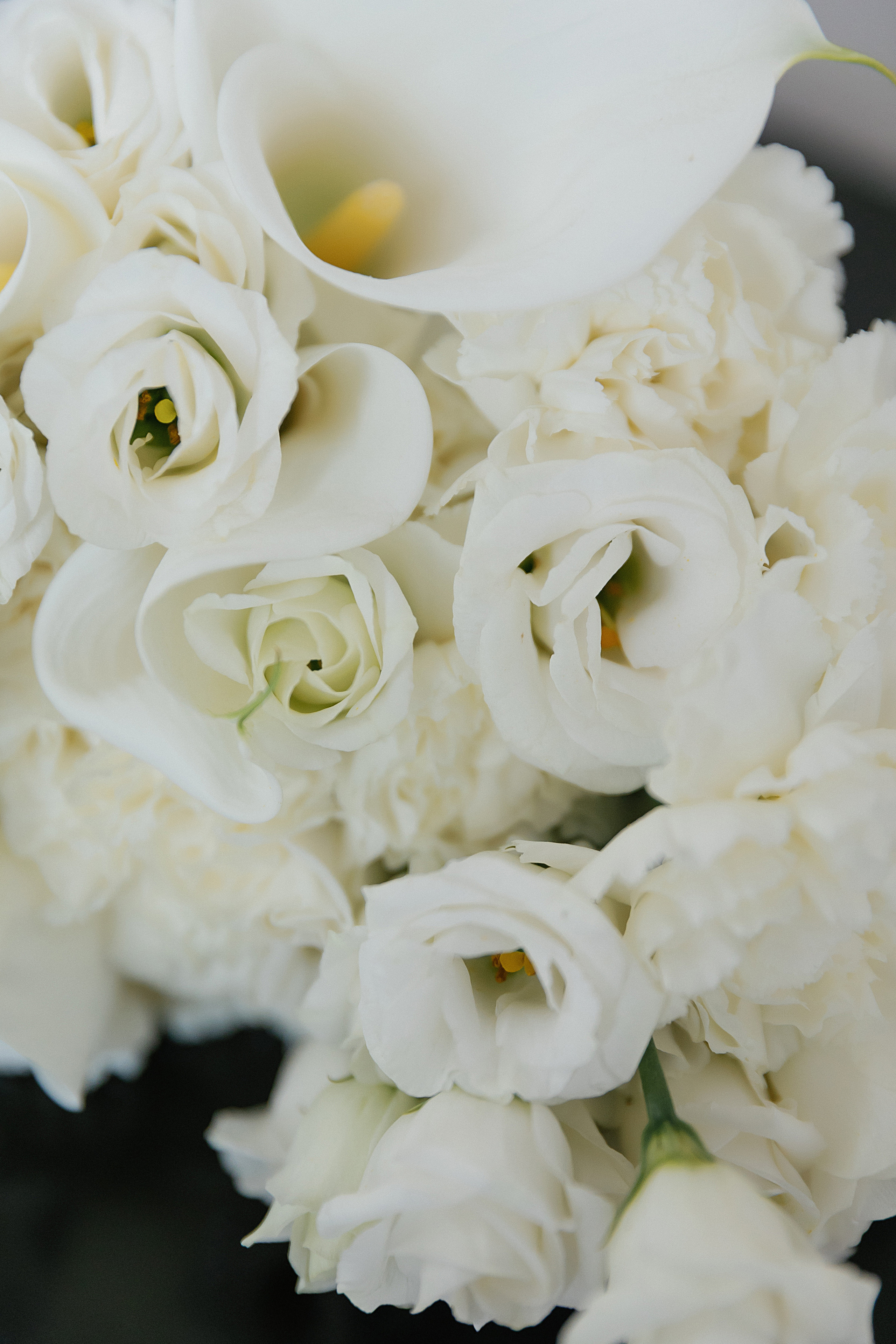 Олег и Анастасия. Свадебный и семейный фотограф Харольцева Наталья