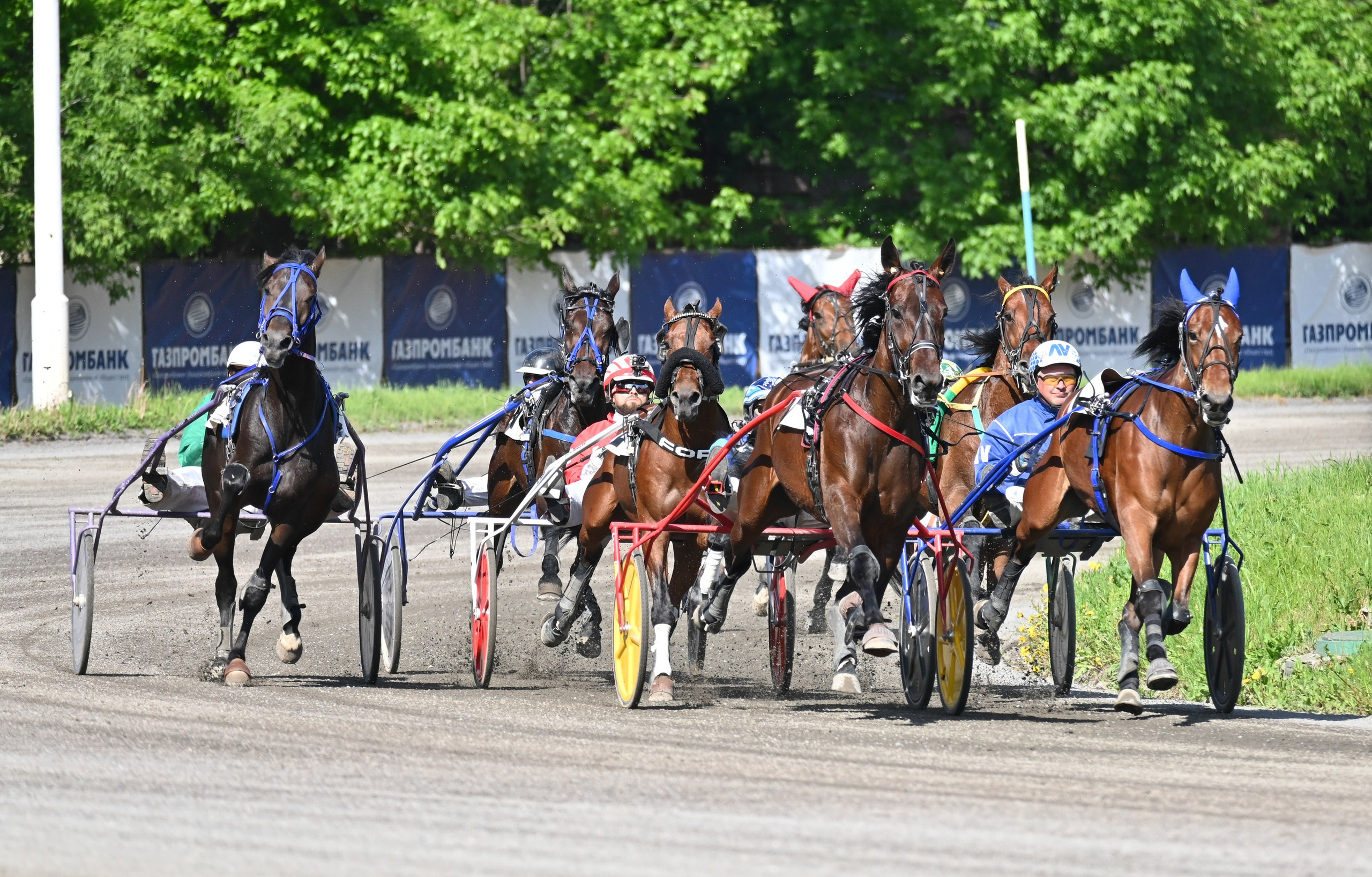 Ипподром (Москва). Fotolux
