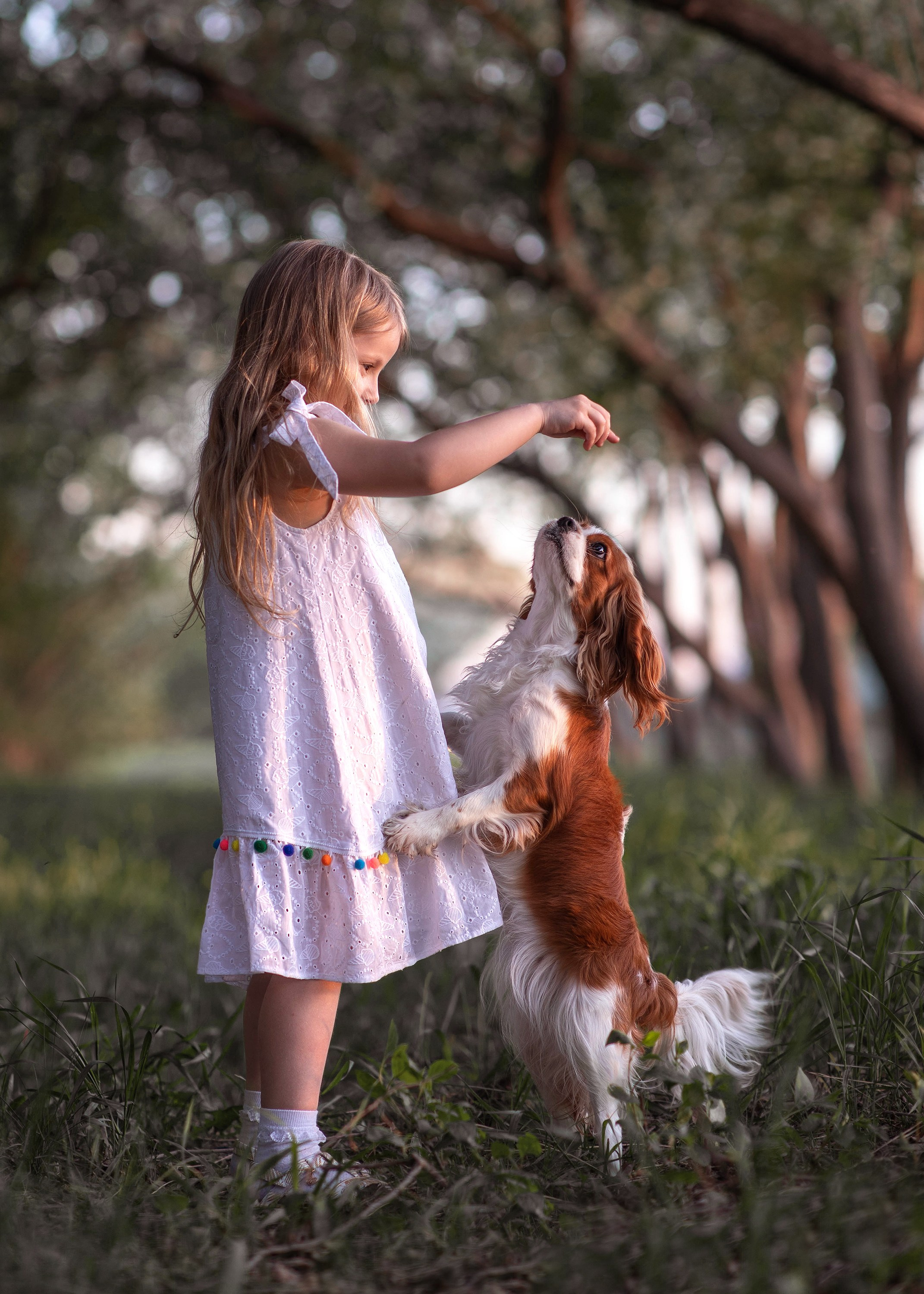 Выездная съёмка с естественным светом. Фотограф-анималист в Омске Екатерина Маричева