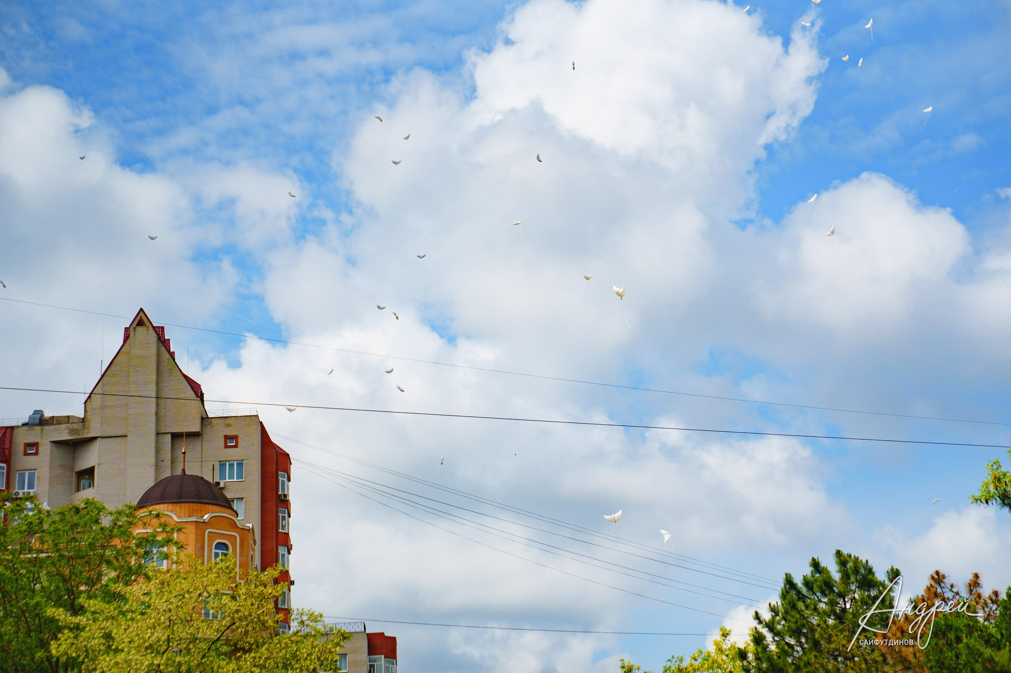 Последний звонок КЭО. Свадебный и семейный фотограф в Ростове-на-Дону. Андрей Сайфутдинов