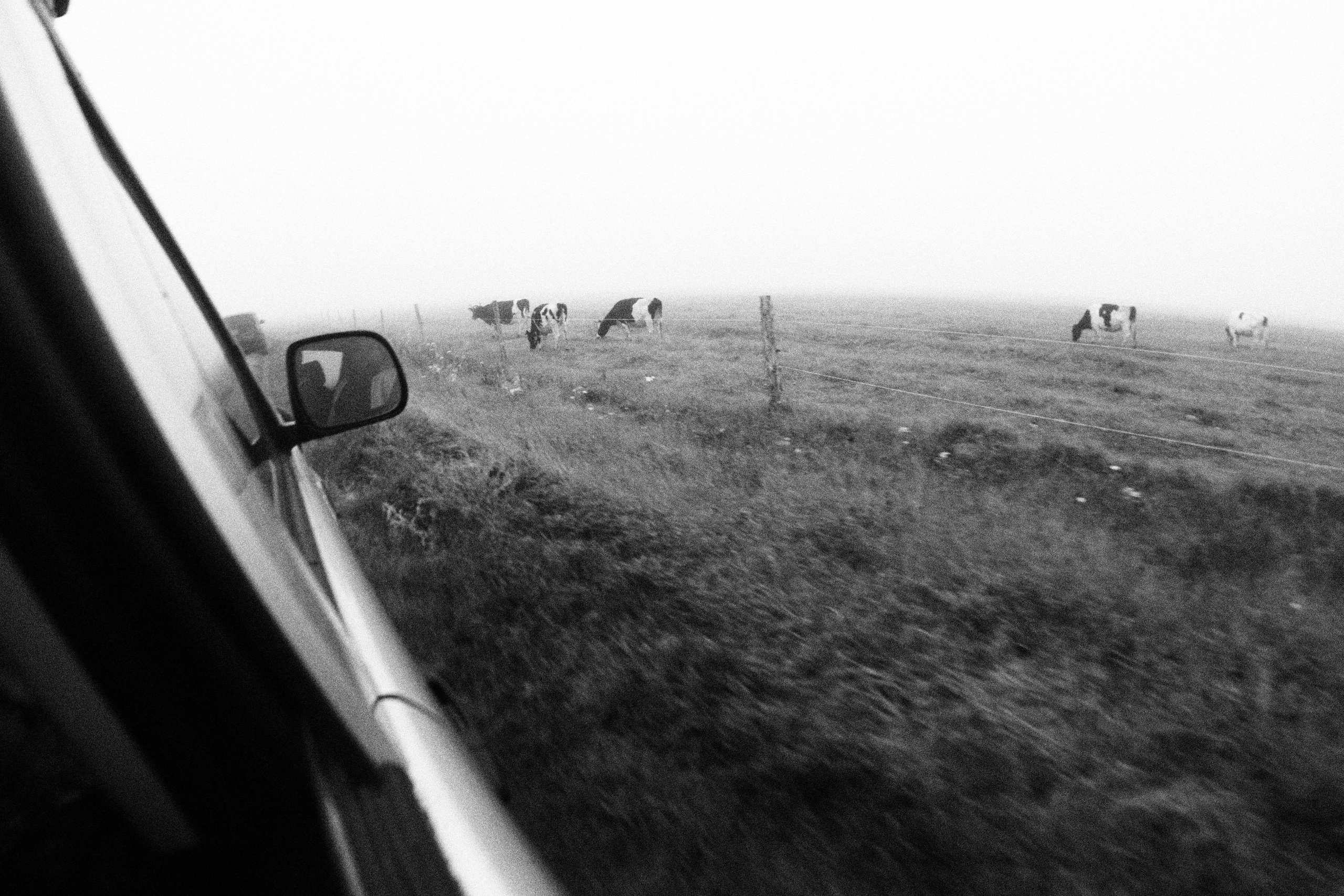 Промежуточные моменты (2023)