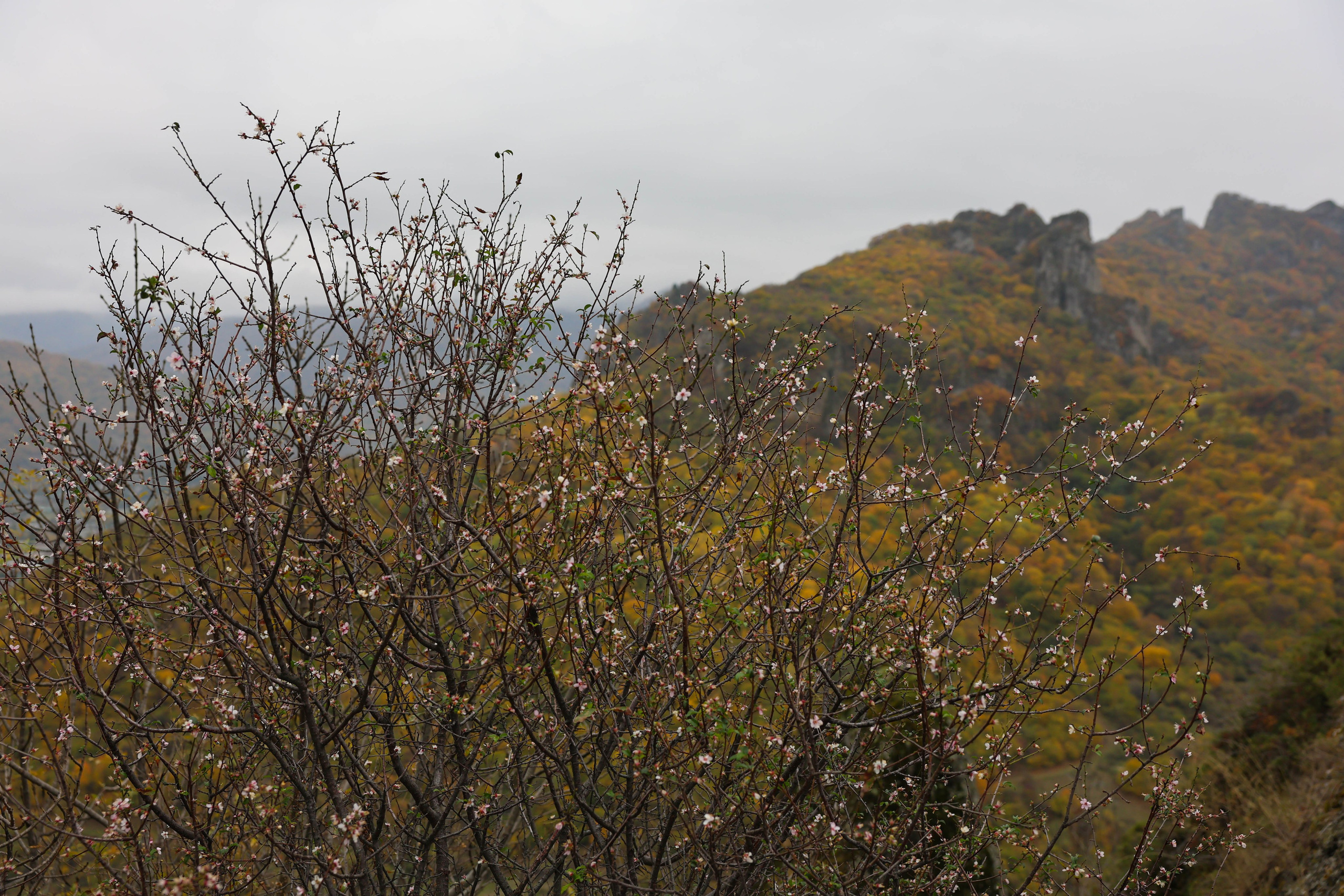 Фотограф Мария Алексеева. Мария Алексеева. Фотограф в Москве